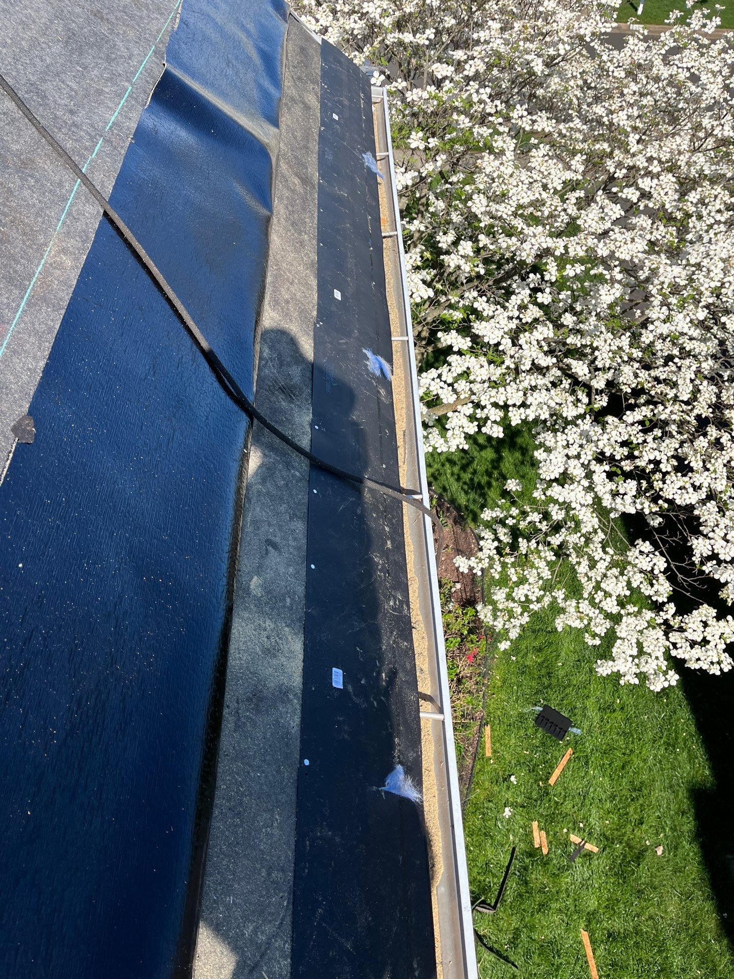 Vienna: CertainTeed Landmark Pro Designer Shingles in Max Def Moire Black by RM Banning, Inc.