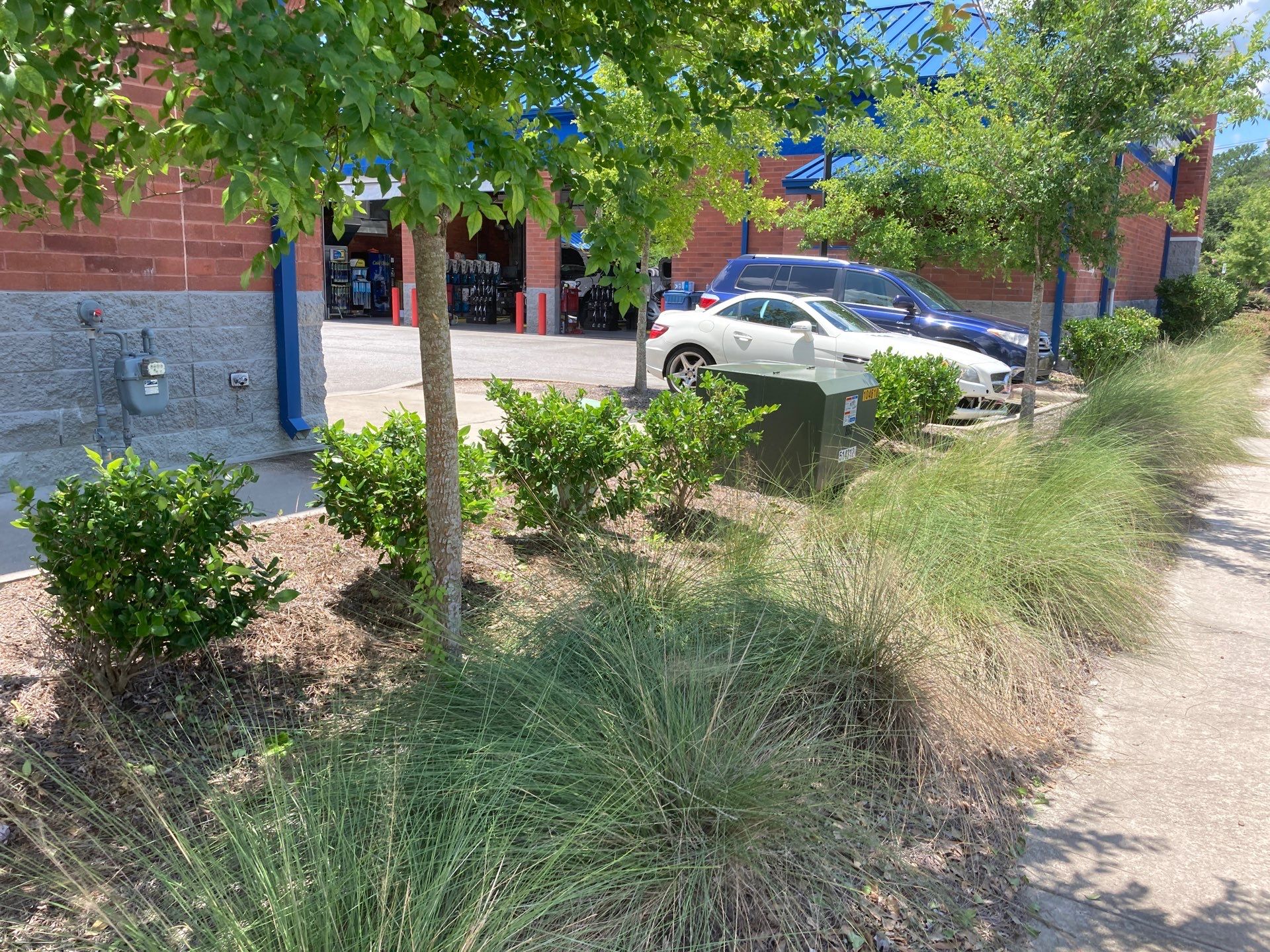 Hedge Trimming - Express Oil Summerville by Hudson Bros Lawn Care LLC