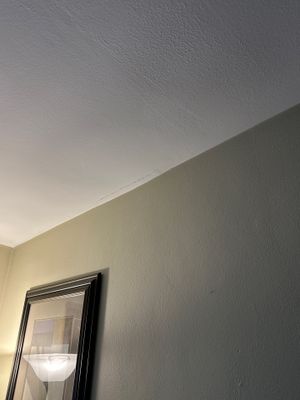 Ceiling Finishing