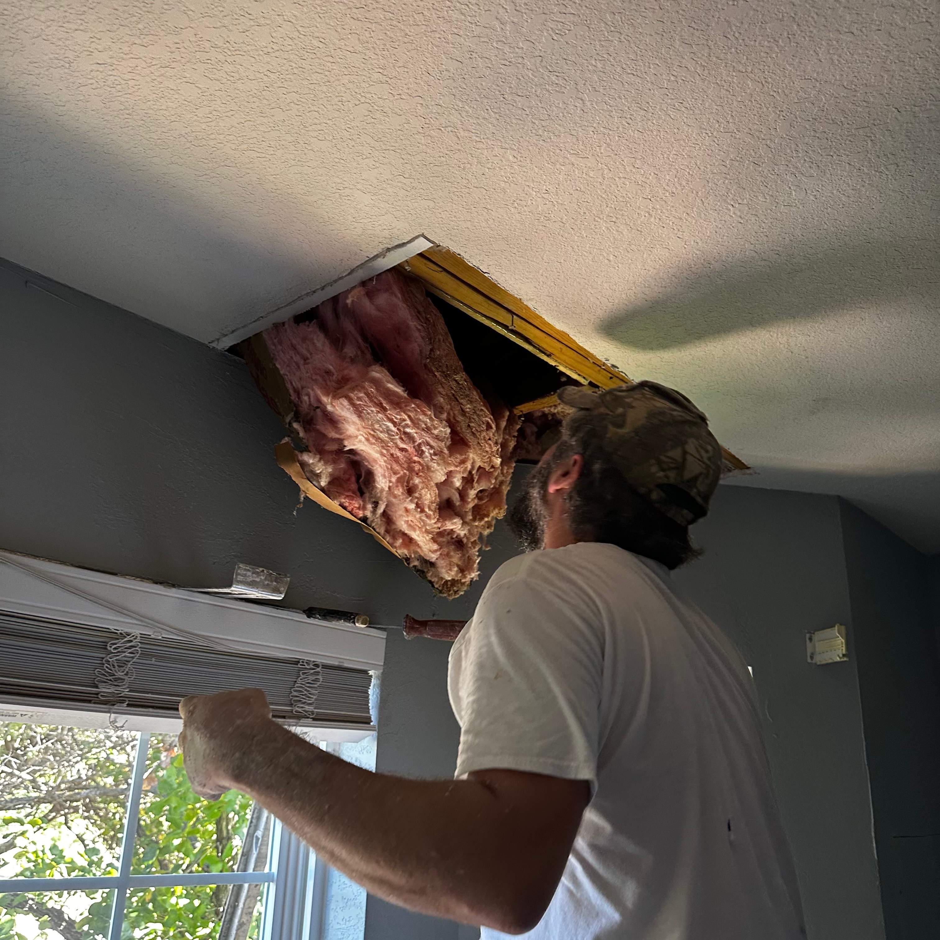 Ceiling, not Wall by Rockwall Honey Bee Company