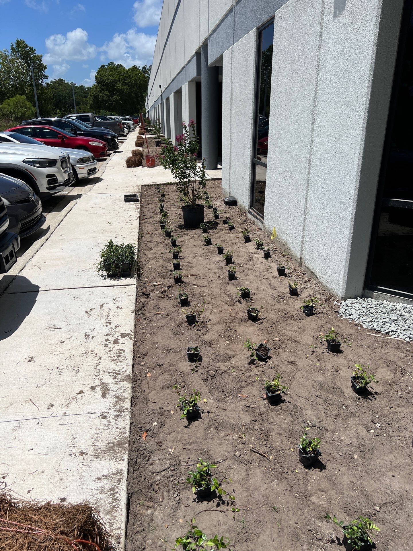 Large Landscape Project | Center Point by ProGreen Services