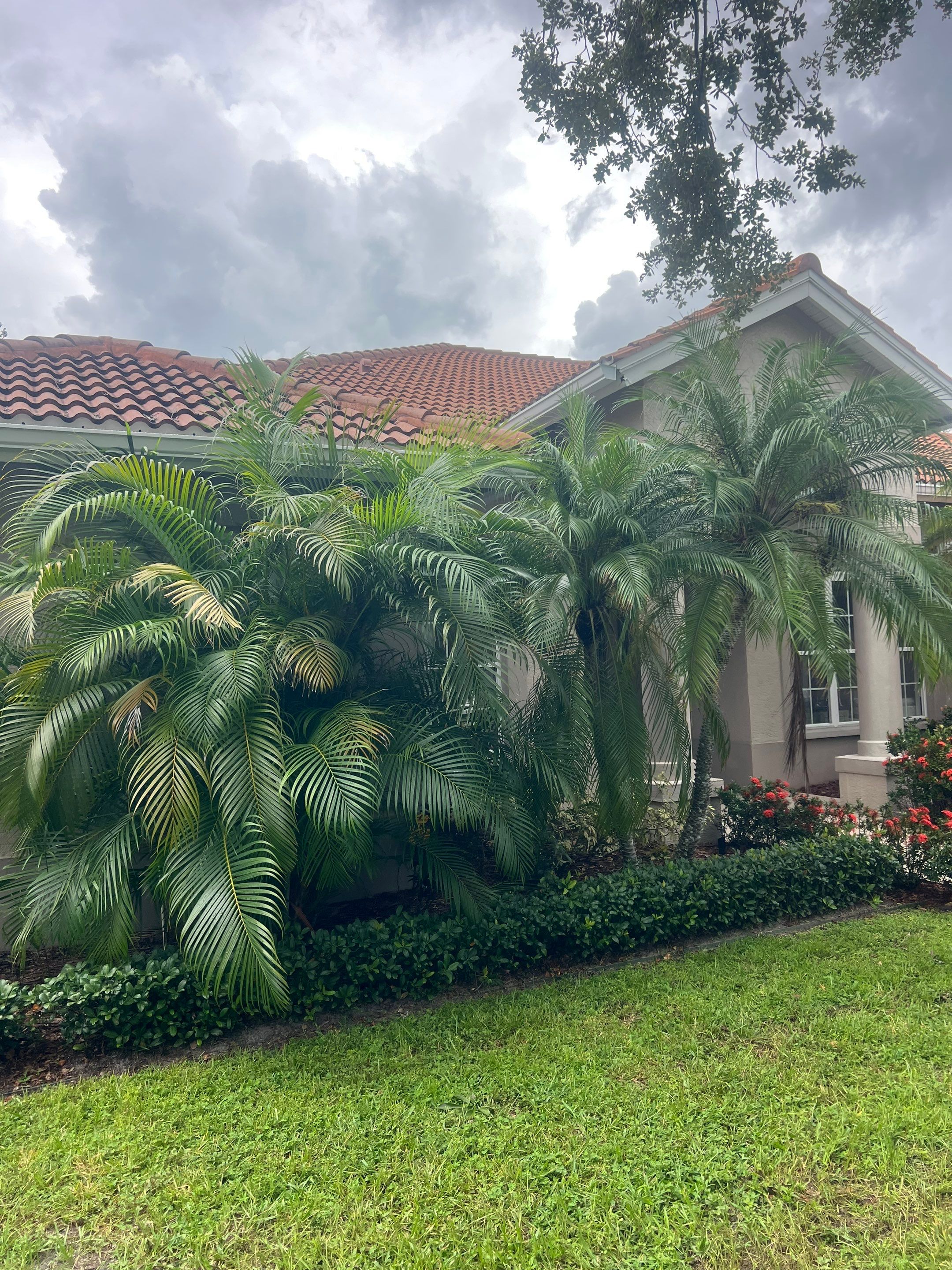 6-inch White Seamless Gutters Installation by Gutter Professors