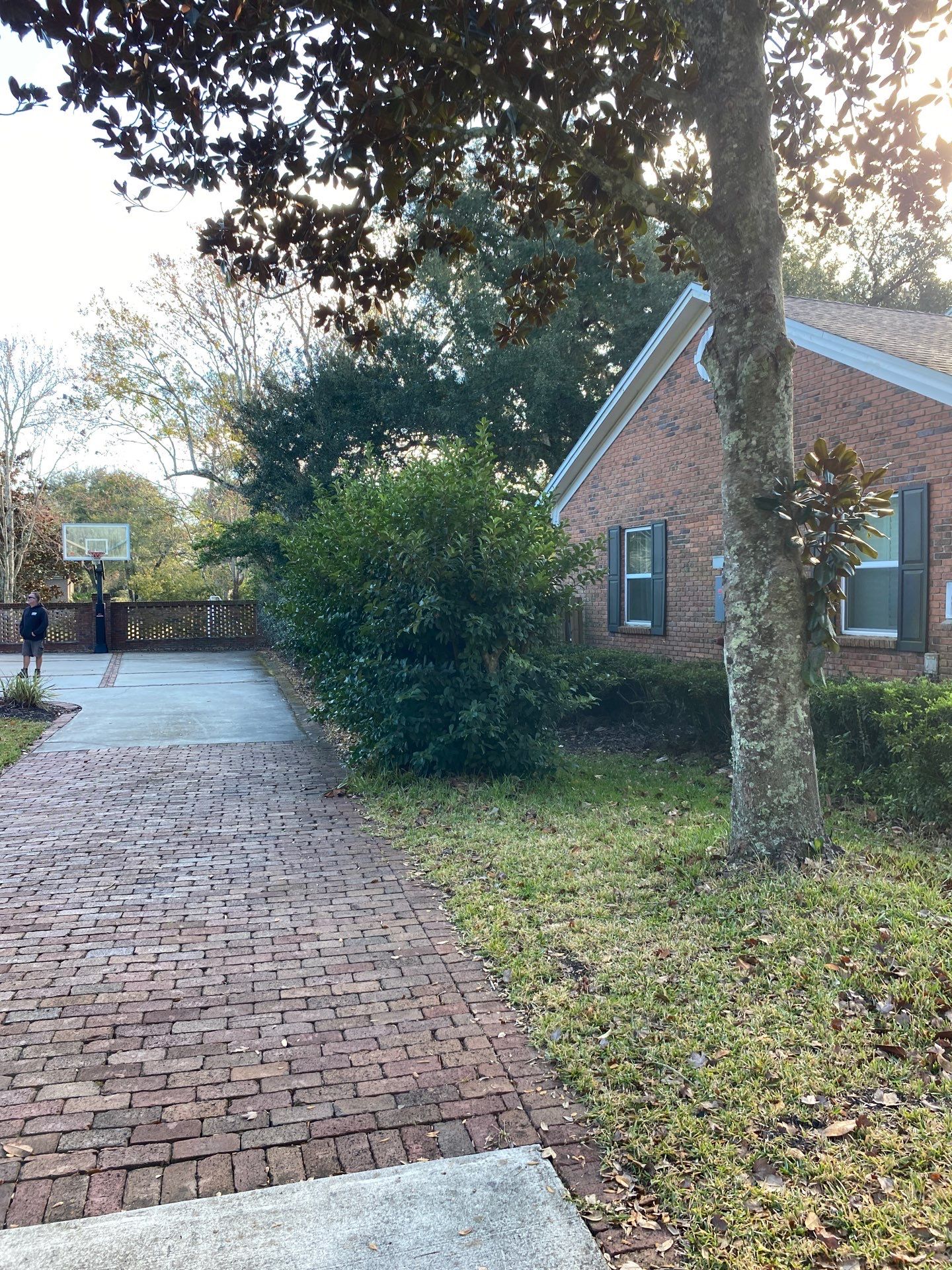 Deerwood Resident | General Landscaping by ProGreen Services