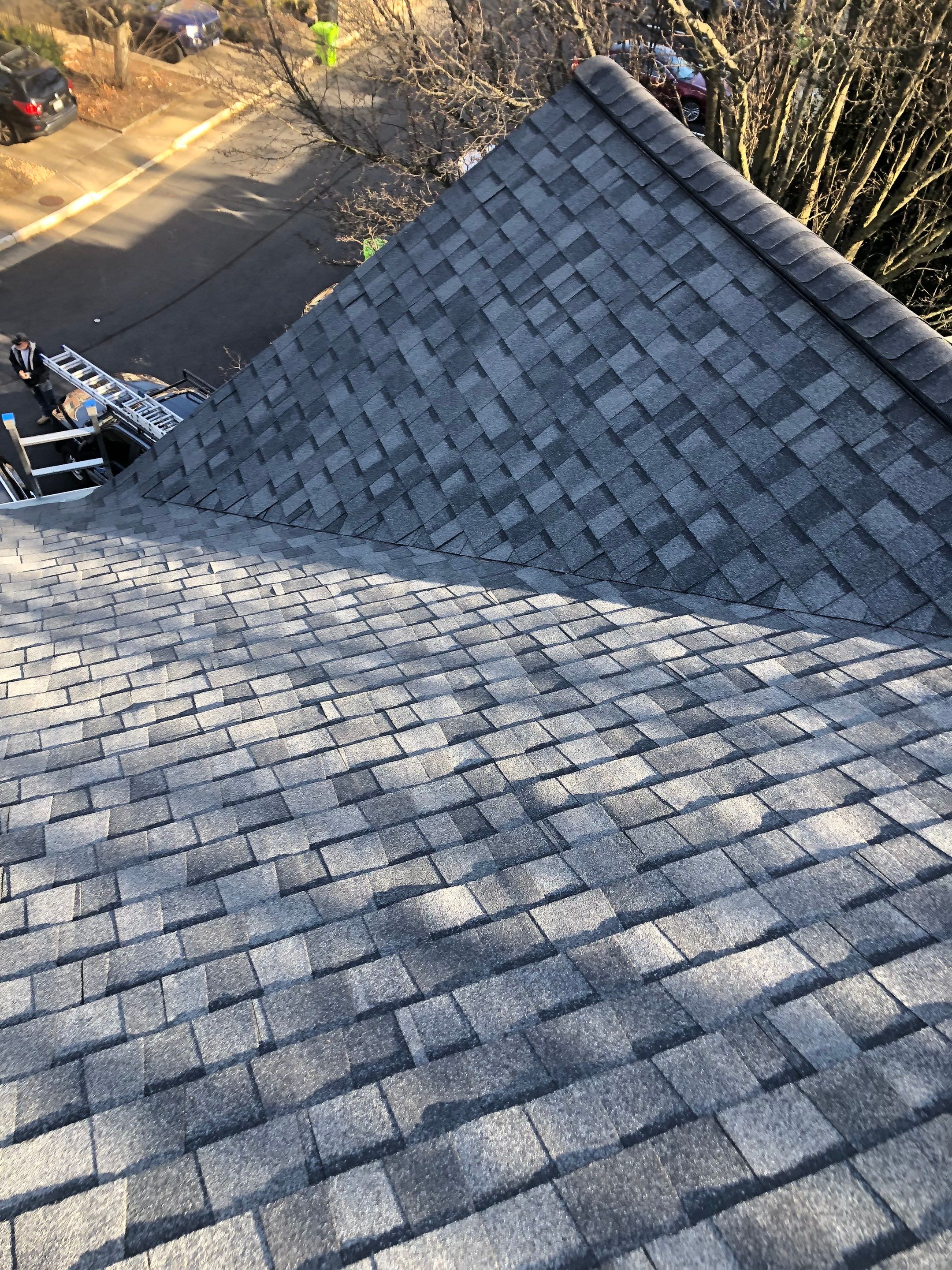 Alexandria CertainTeed Landmark Pro Roof in Max Def Pewterwood  by RM Banning, Inc.