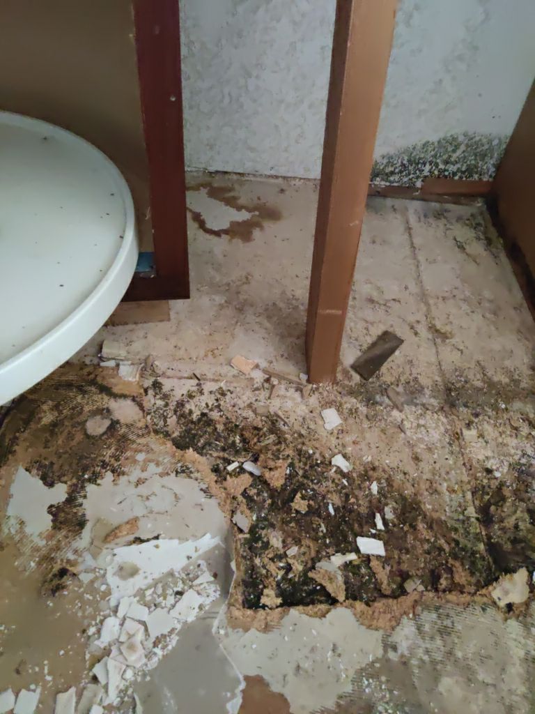 Mold Remediation in Kitchen by Accountable Home Services