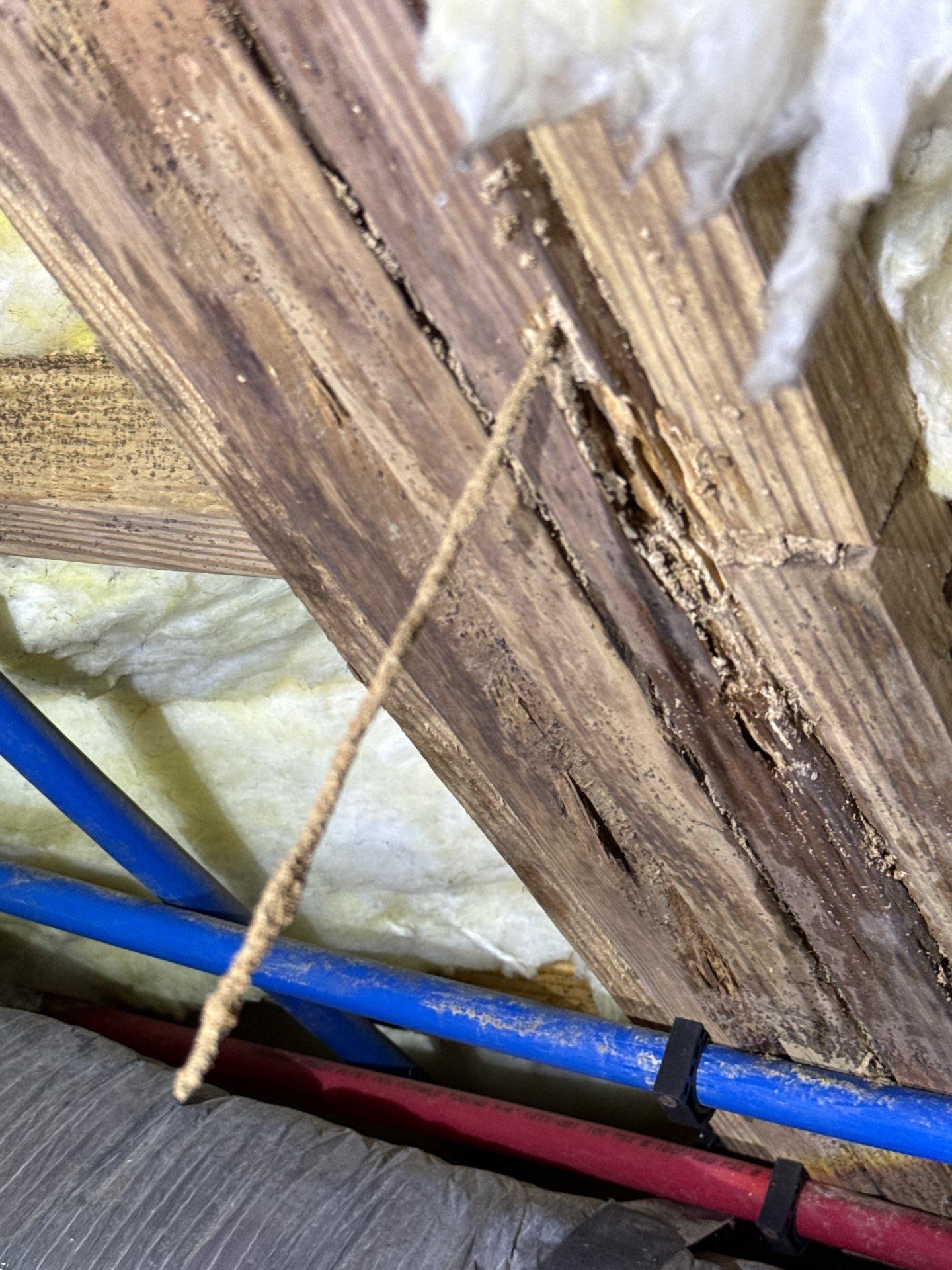 Comprehensive Siding and Wood Rot Repair in Fayetteville- with Interior Remodel by Karcher Roofing & Construction