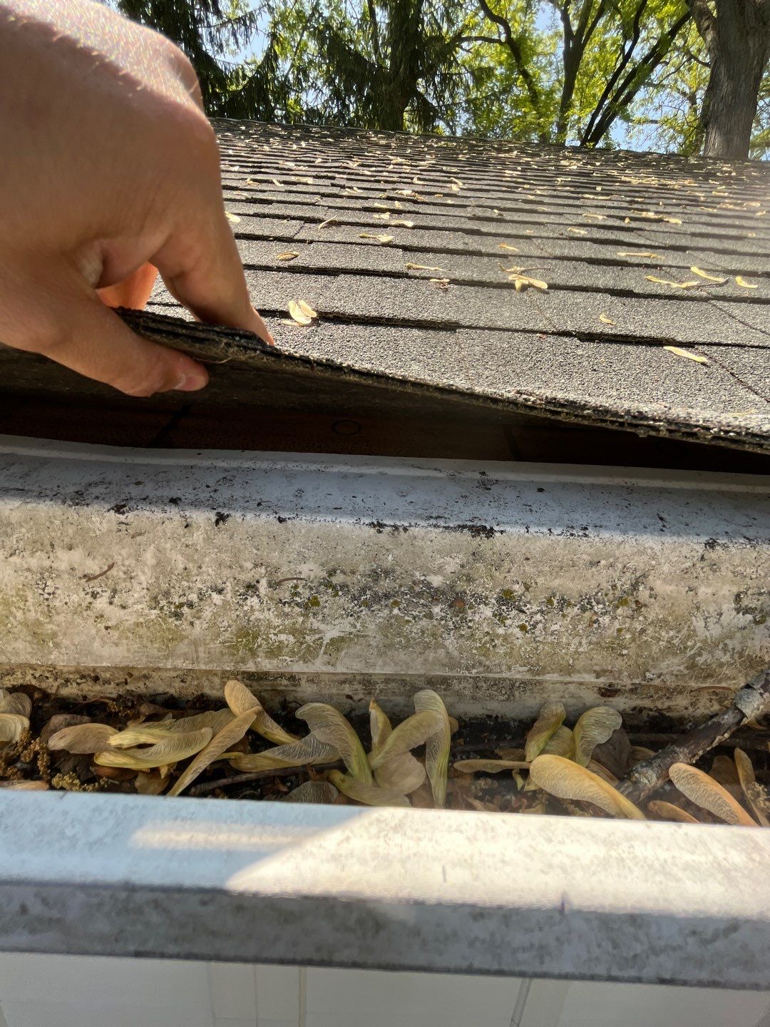 Roof Damage by G2