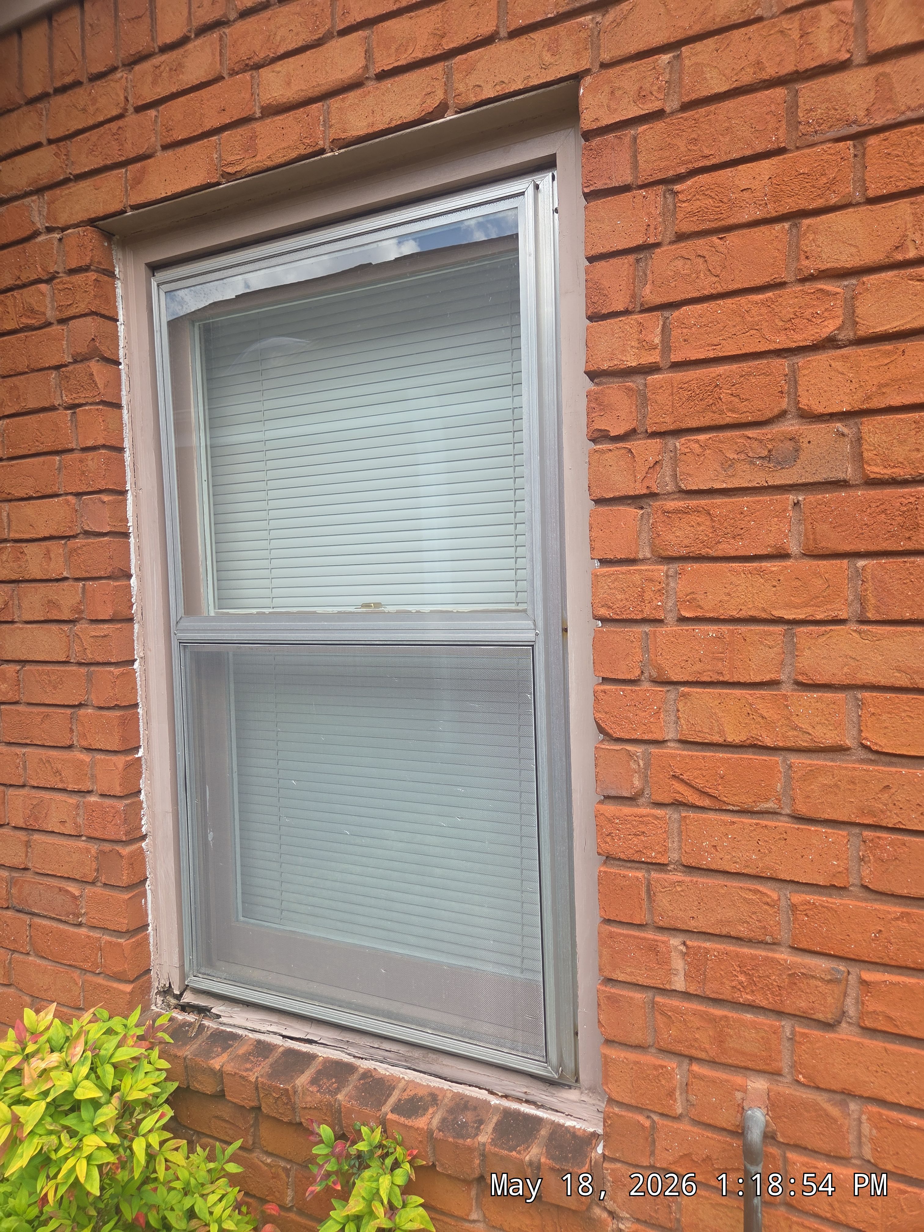 Williams Project in Birmingham by The Window Source