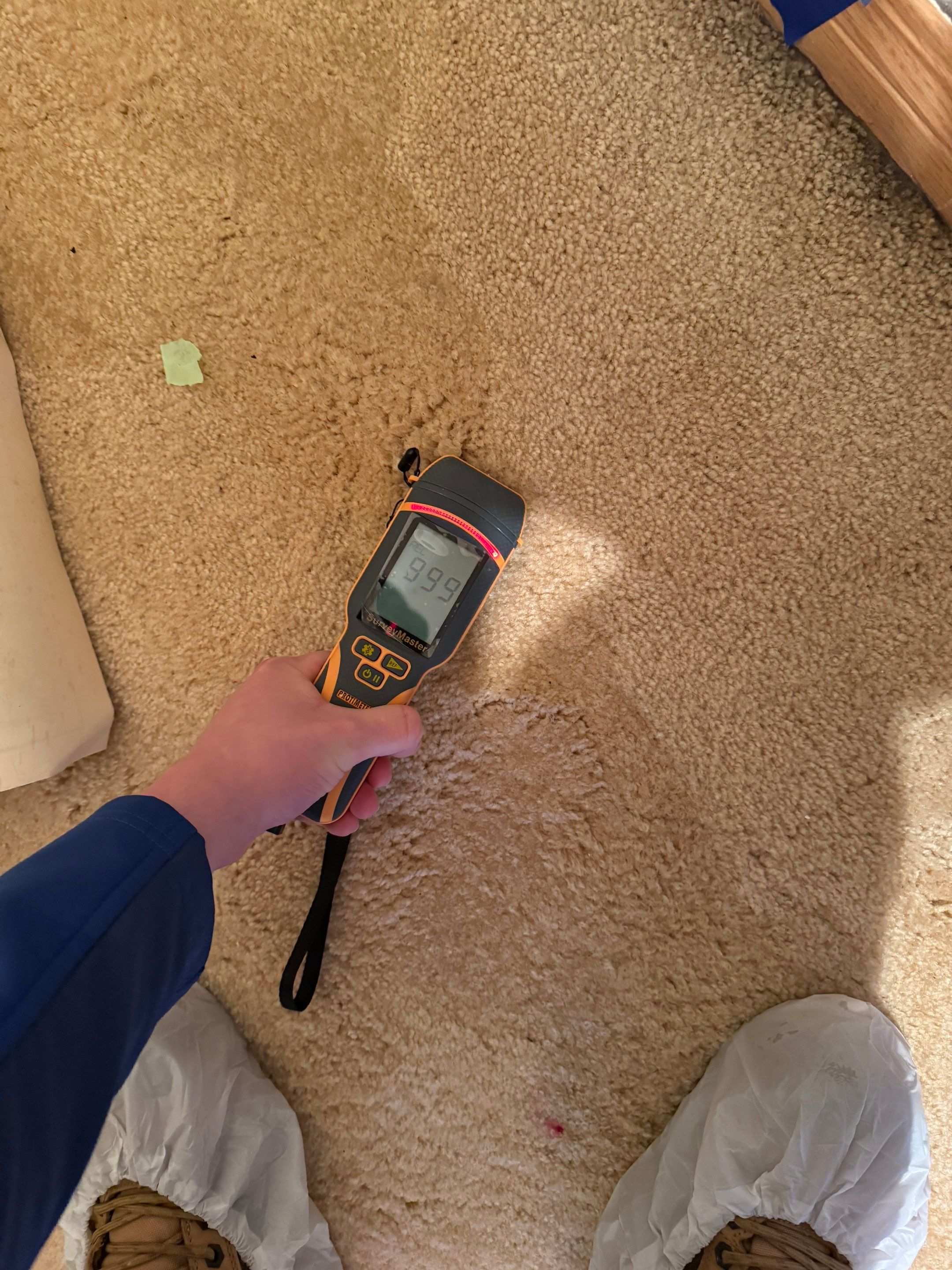 Water Damage in Wheat Ridge, CO by Alpha Restoration 