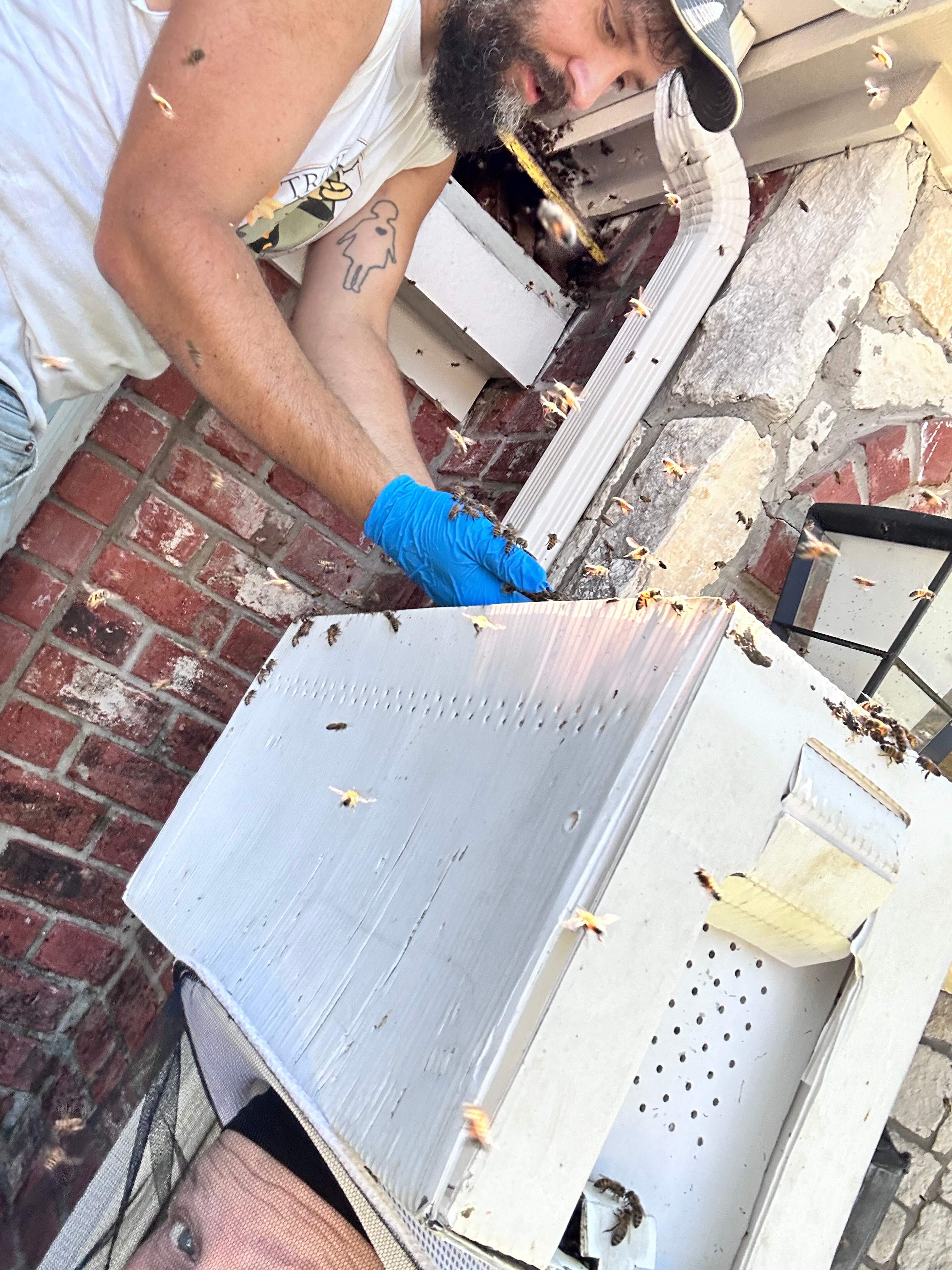 Dormer Window by Rockwall Honey Bee Company