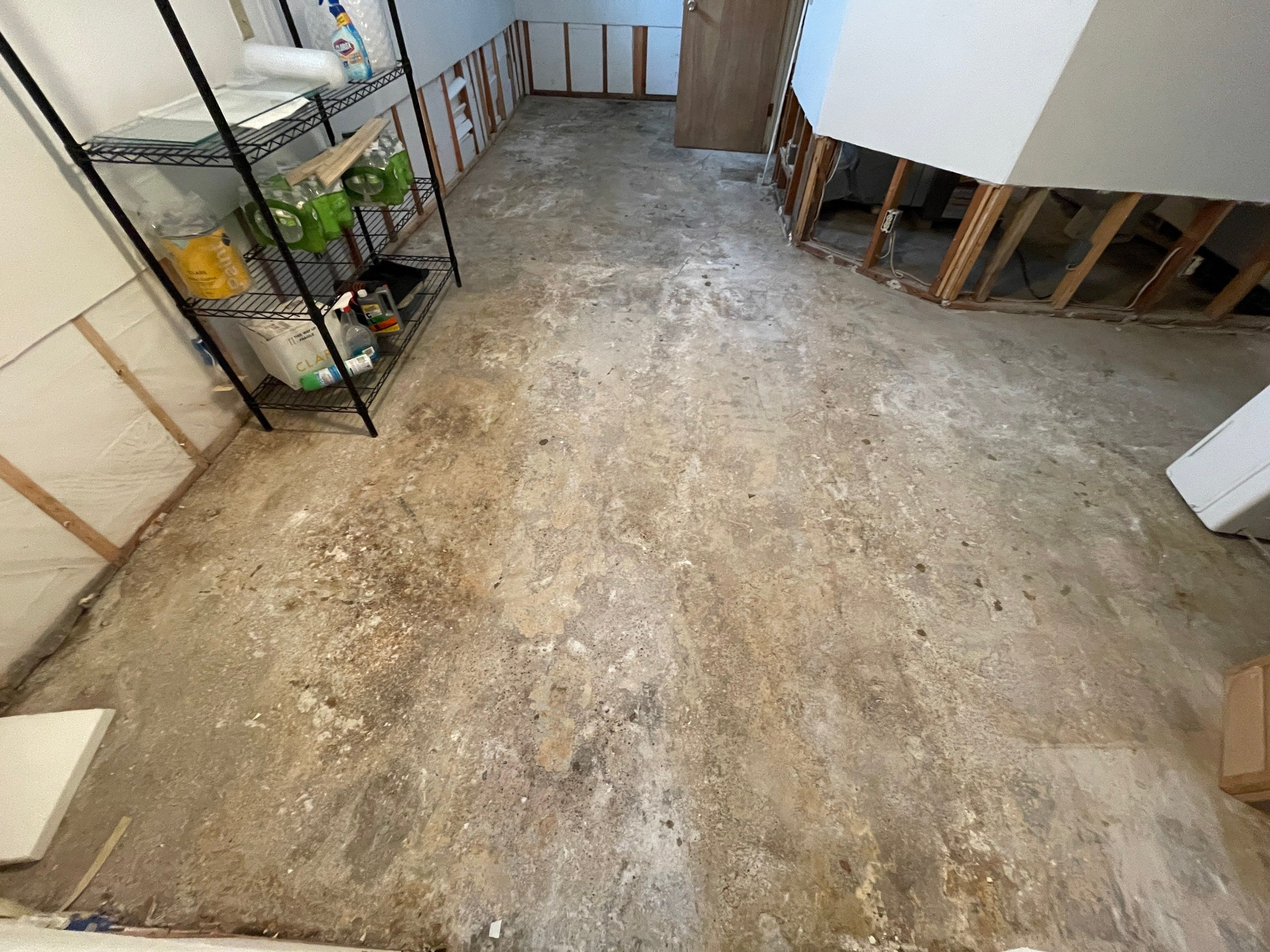Basement using Mount Everest by Select Painting, Coatings & Garage Cabinets