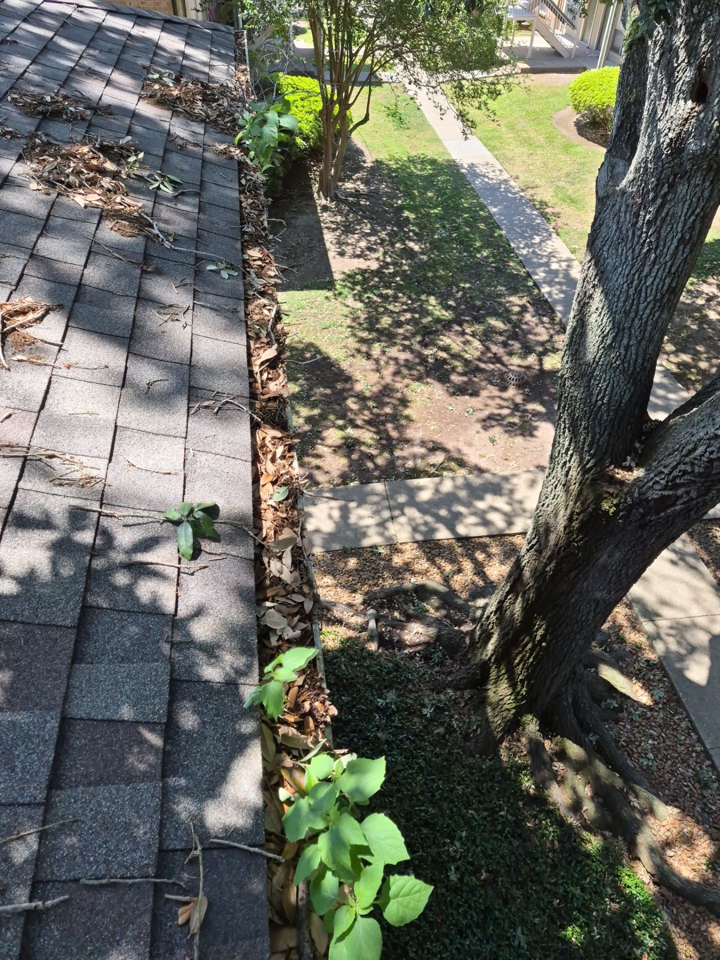 Commercial gutter cleaning Lafayette, LA before photo with filled gutters
