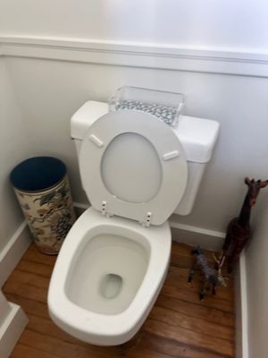 Toilet Replacement and Plumbing Repairs — Marblehead, MA