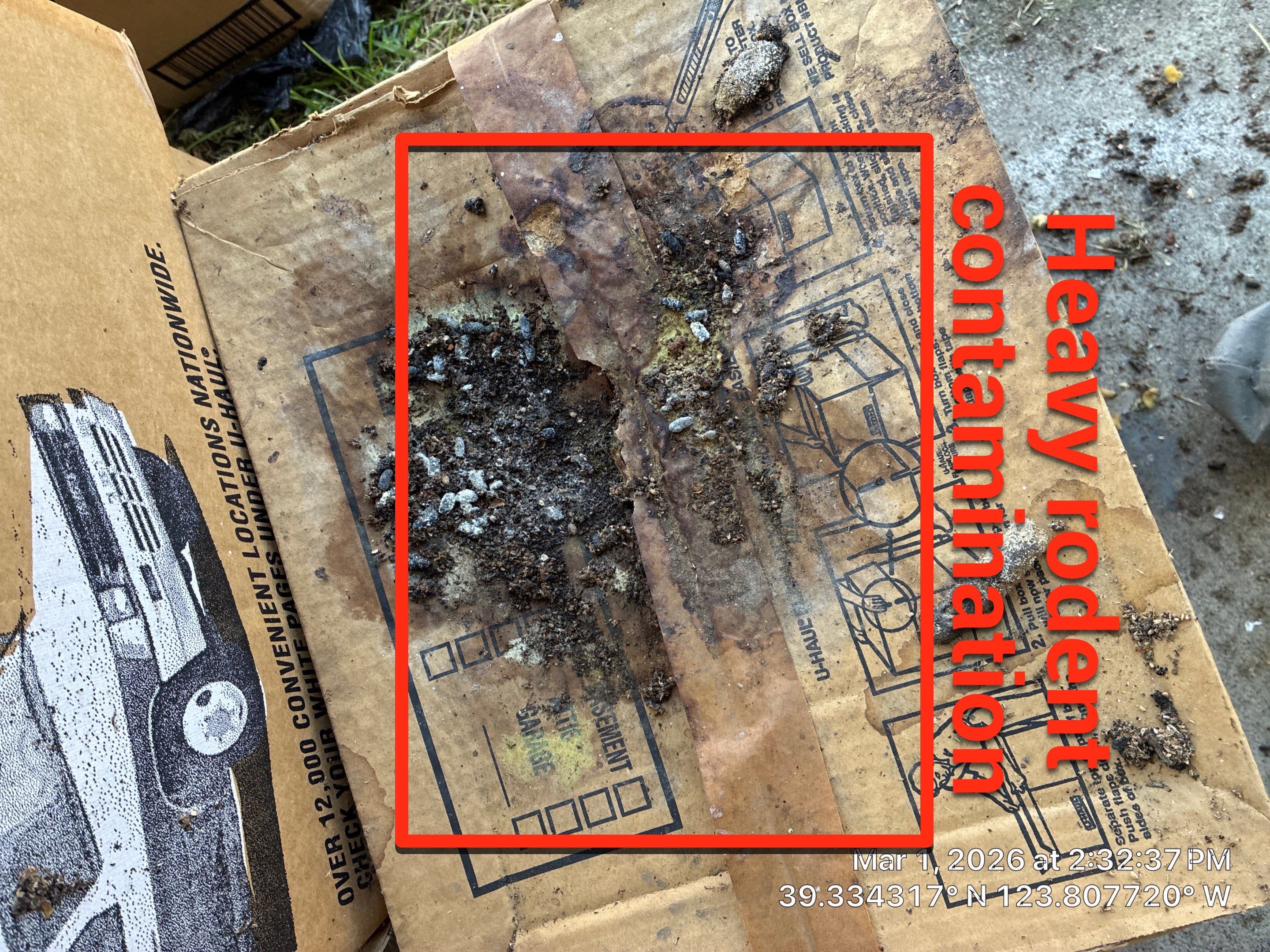 Project in Mendocino by 911 Hazmat Cleanup 