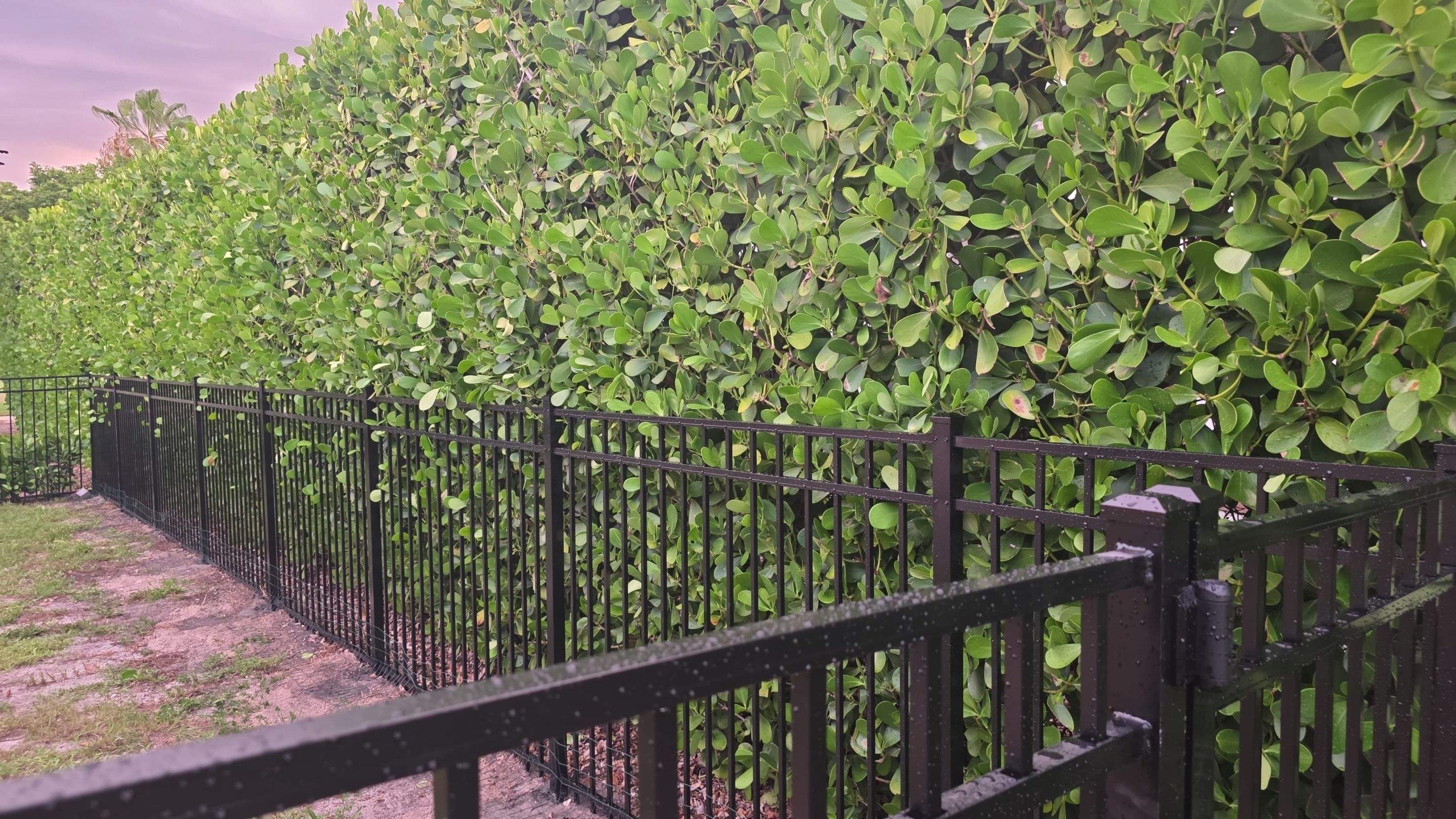 Black Aluminum Picket Fence Installation in Marco Island by True Fence LLC