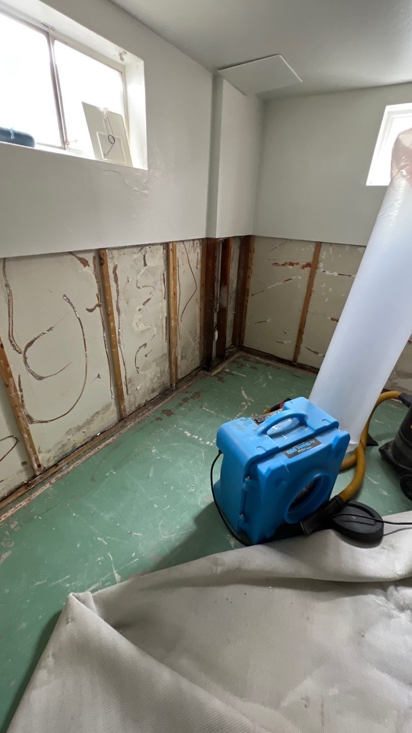 Mold Remediation by Accountable Home Services