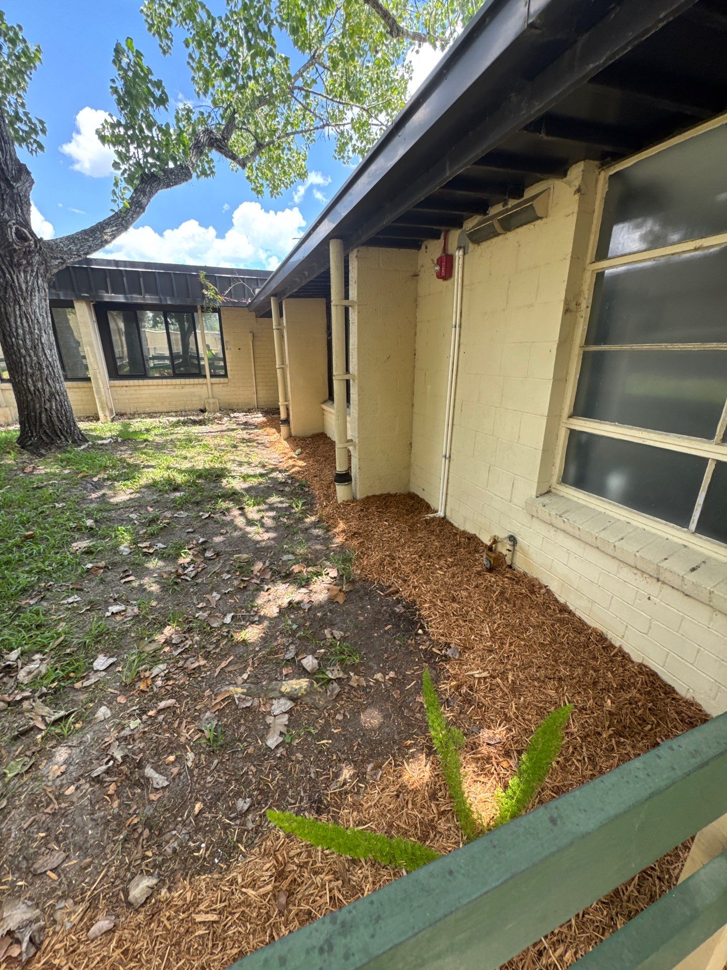 Green Cove Springs Junior High School | Landscape Refresh by ProGreen Services