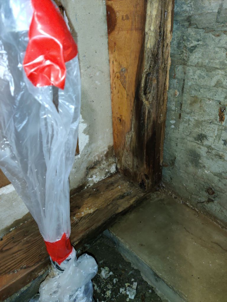 Mold Remediation in Bathroom by Accountable Home Services