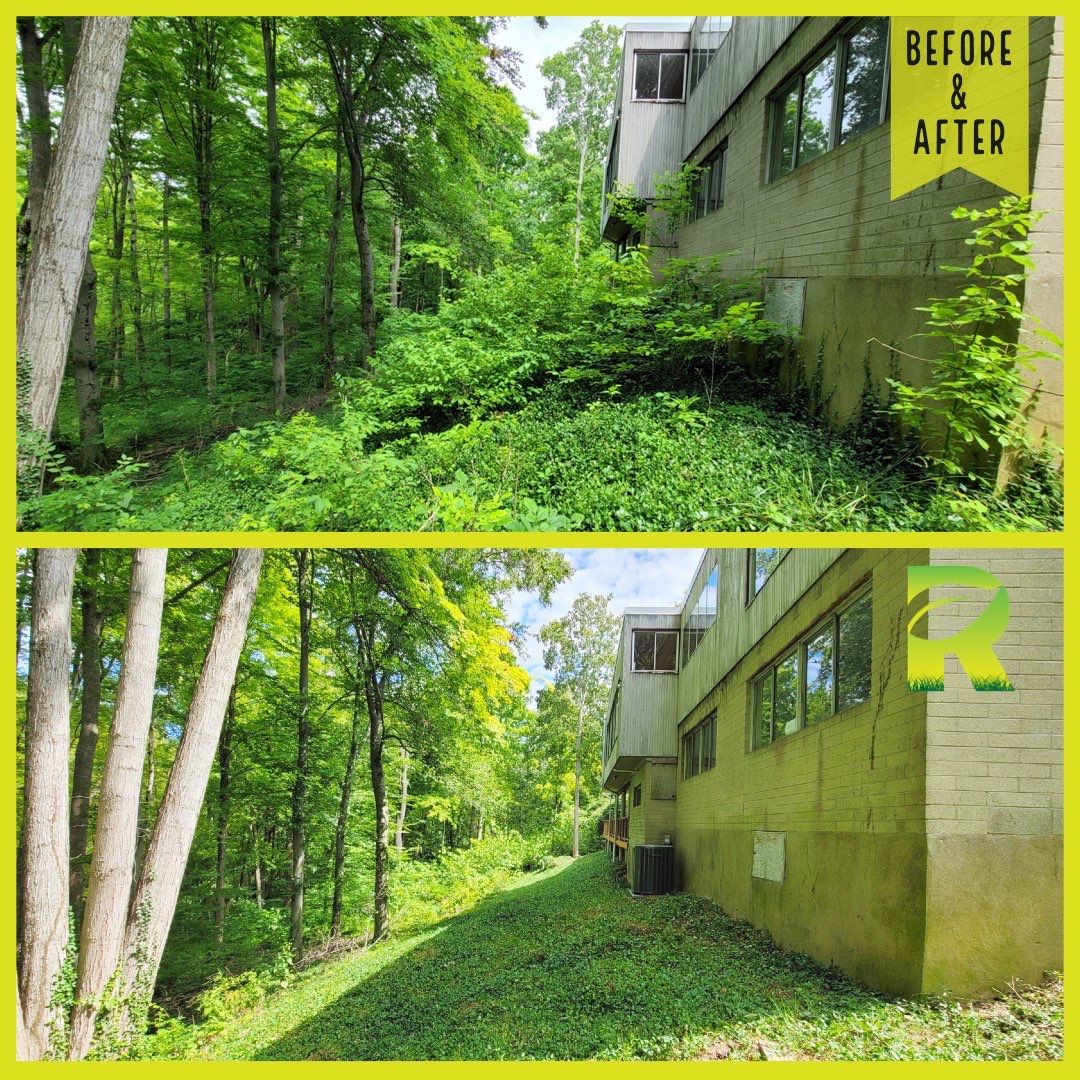 Land Clearing Behind House and Deck by Reisenberg’s Lawn & Landscape, LLC