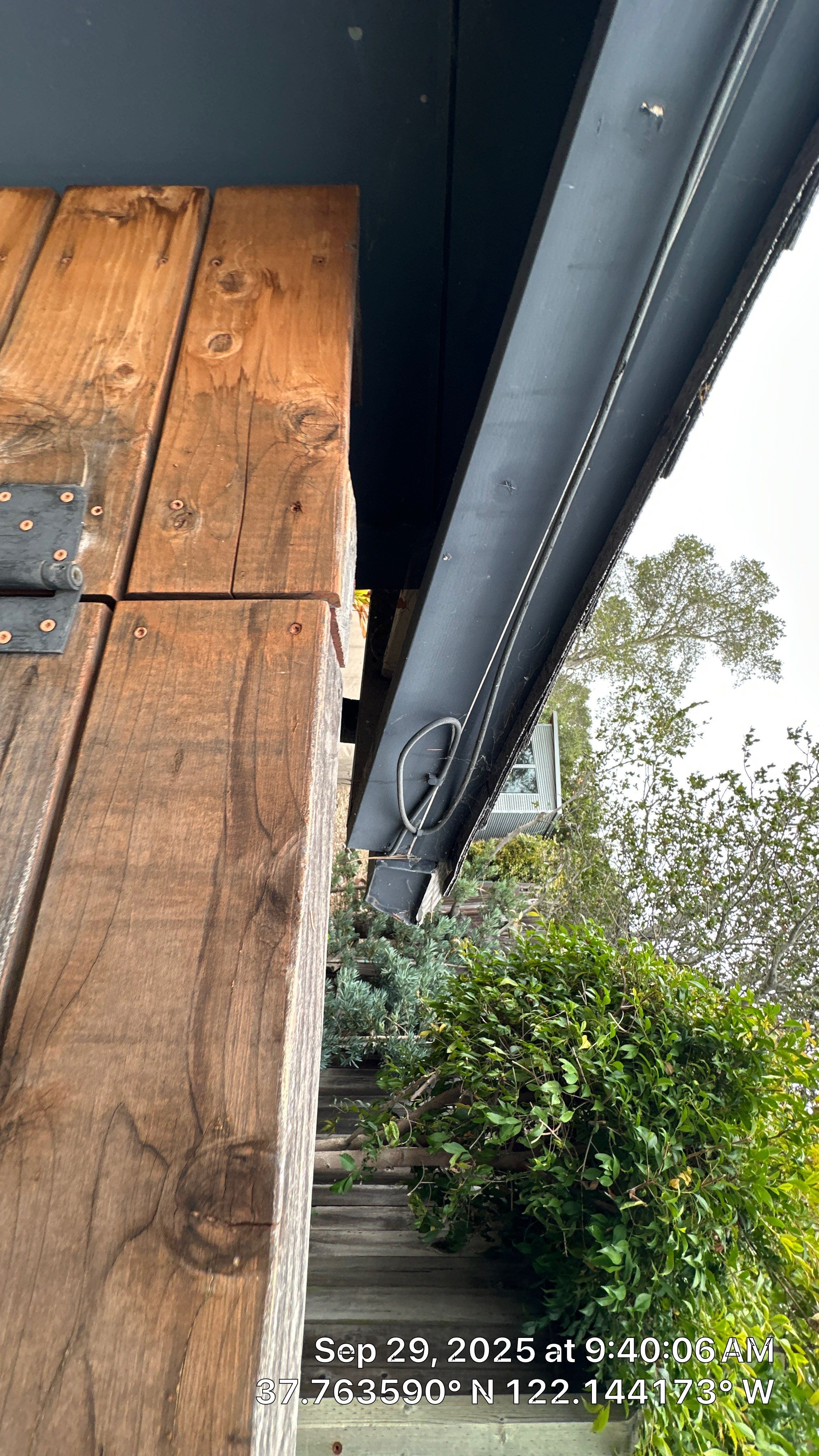 modern painting Exterior modern painting by Herrera’s Bay Area Painting inc.