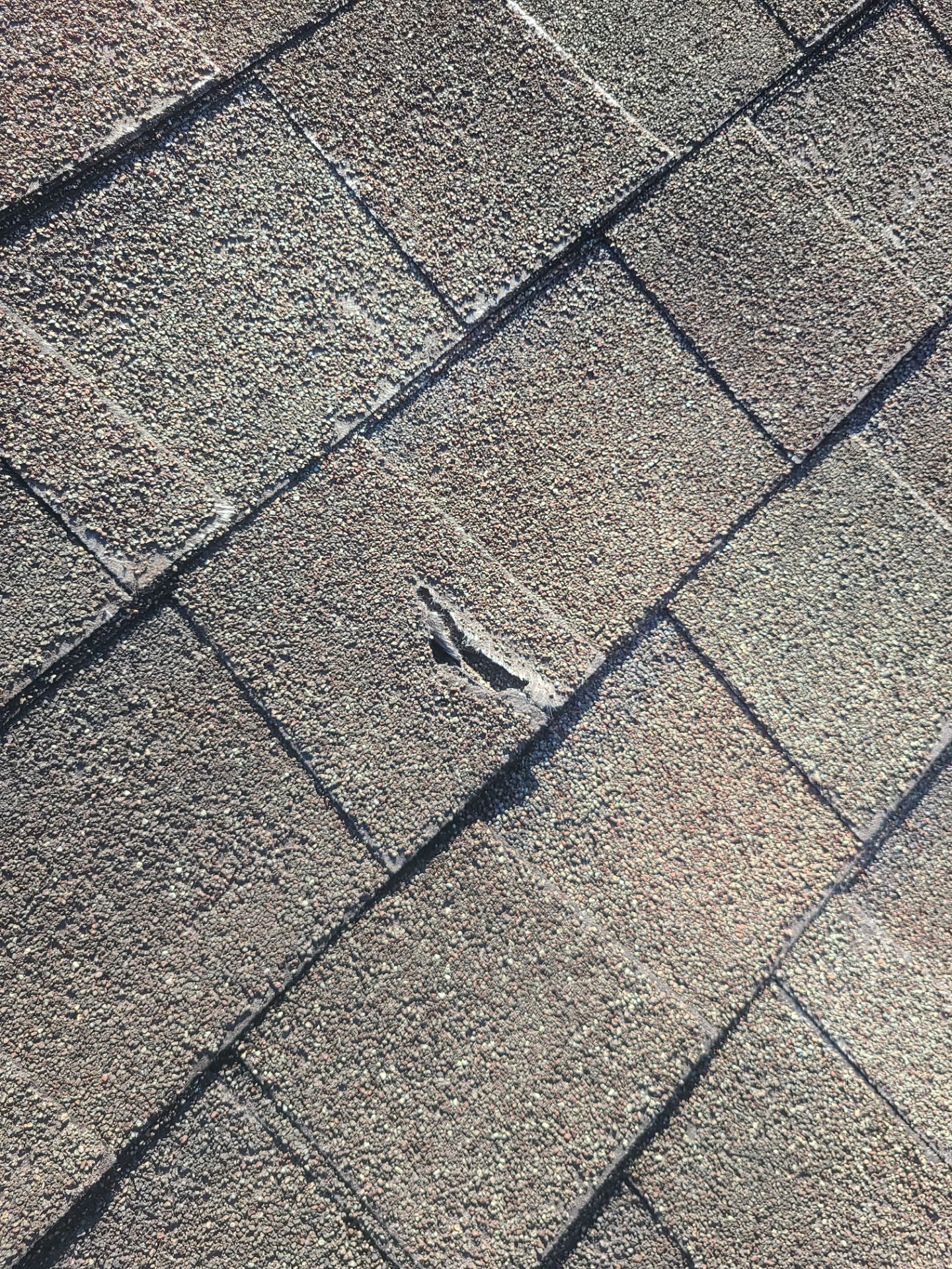 Roof Repair Richmond by Roof Repair Services LLC