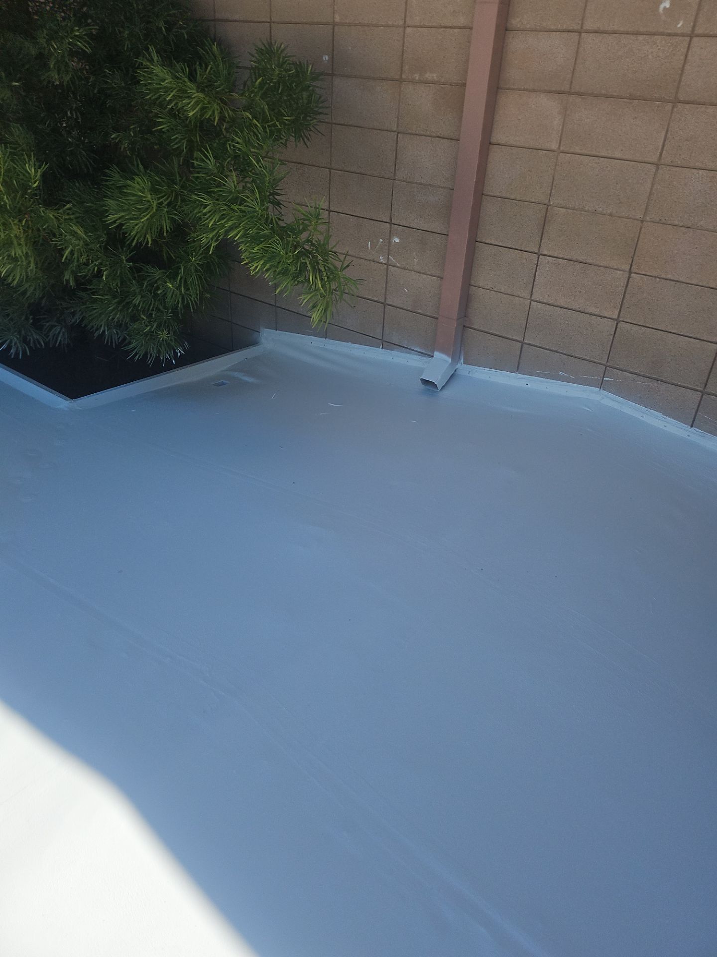 Single-ply restoration system using Benchmark/PUMA XL coatings over TPO single-ply roofing by Straight Edge Roofing Inc