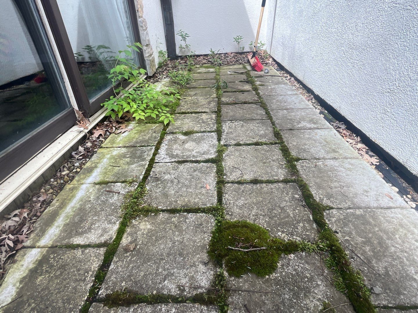 natural stone using Algaecide, soft wash soap by Northern Power Washing LLC.