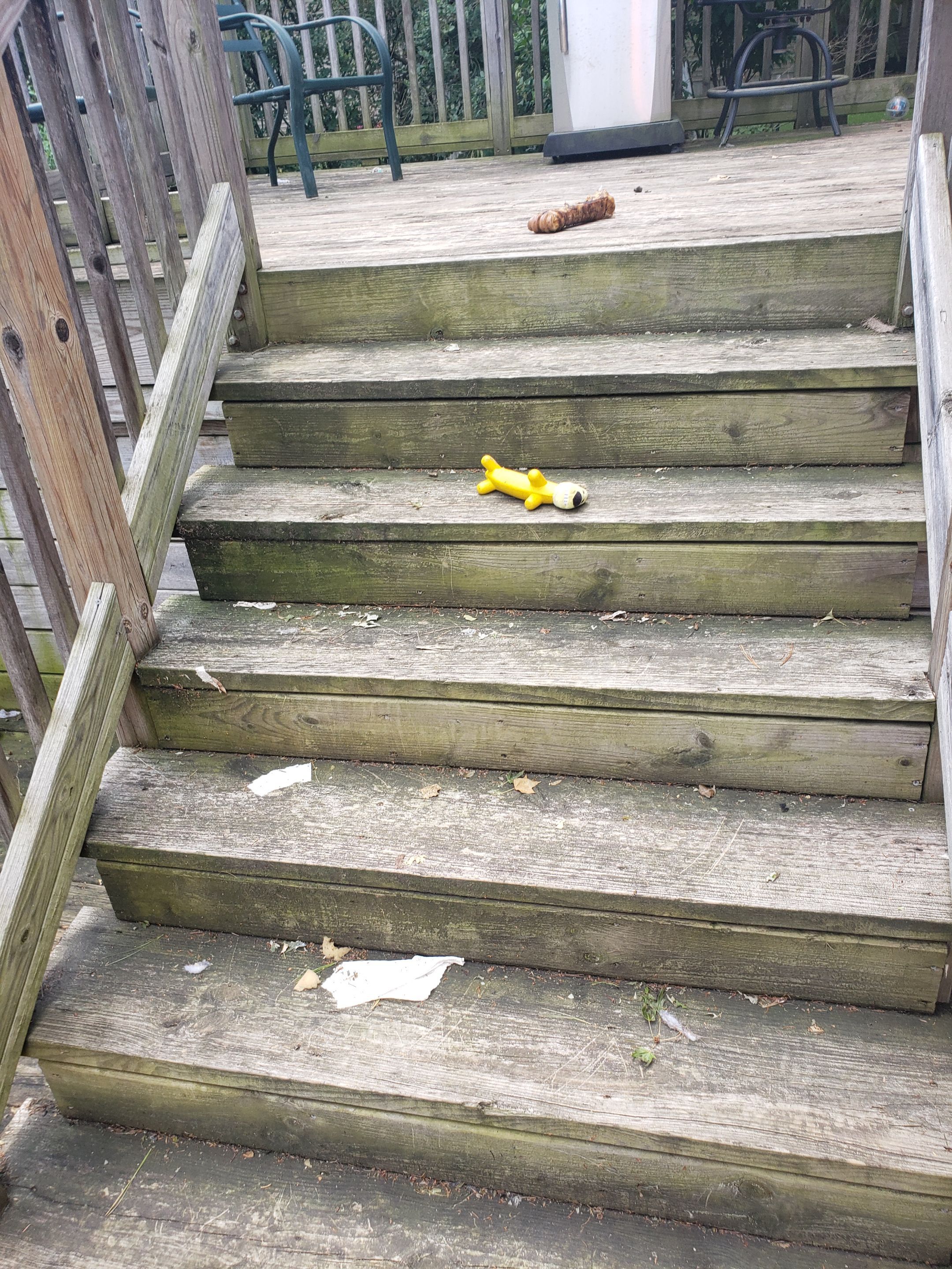 Isaac's Deck Restoration by Map Quality Fencing & Decks