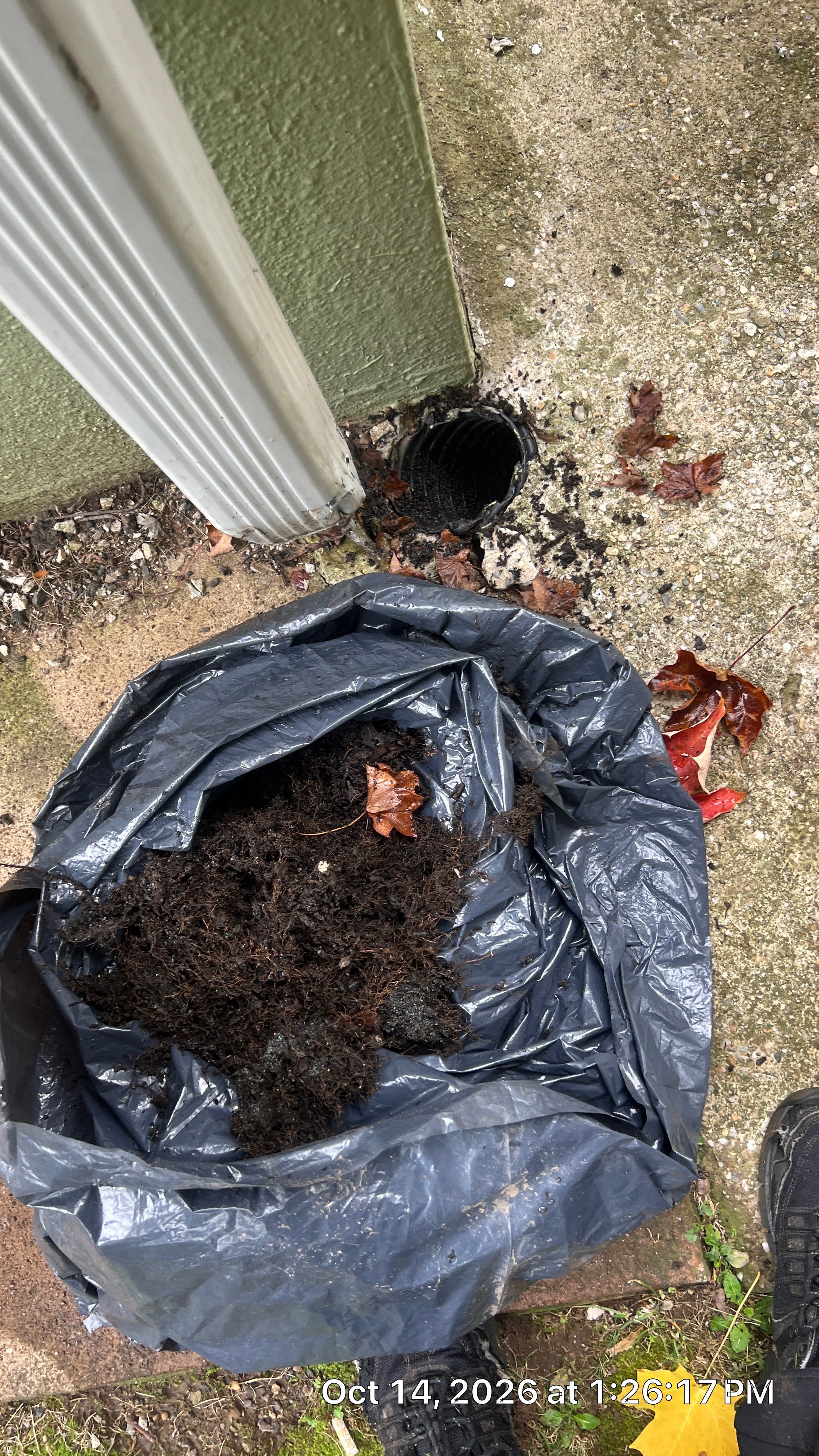 Gutter Cleaning & Underground Drain Cleaning in Montclair, NJ by NJ Home Maintenance Services