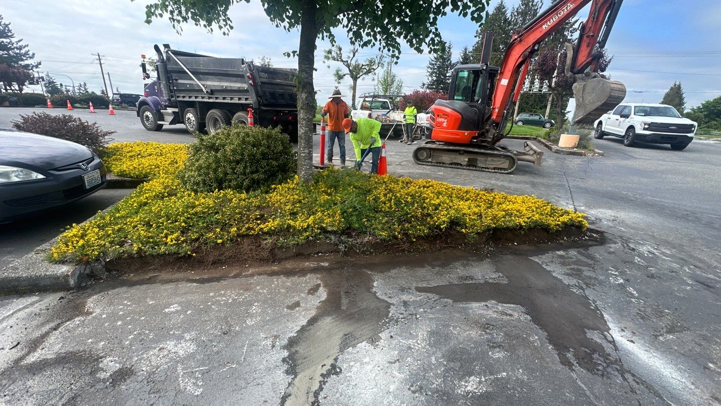 Amanda | Concrete Curb by Jireh Asphalt & Concrete Inc 