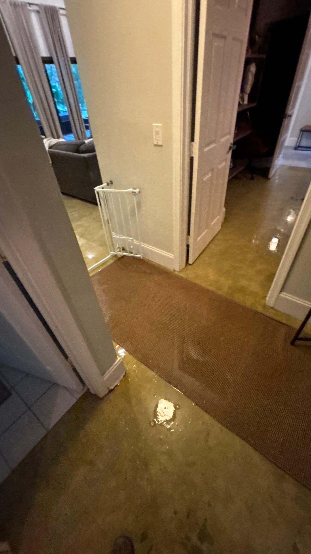 Wellington Water Damage Restoration with Thermal Imaging and Extraction by SuperClean 