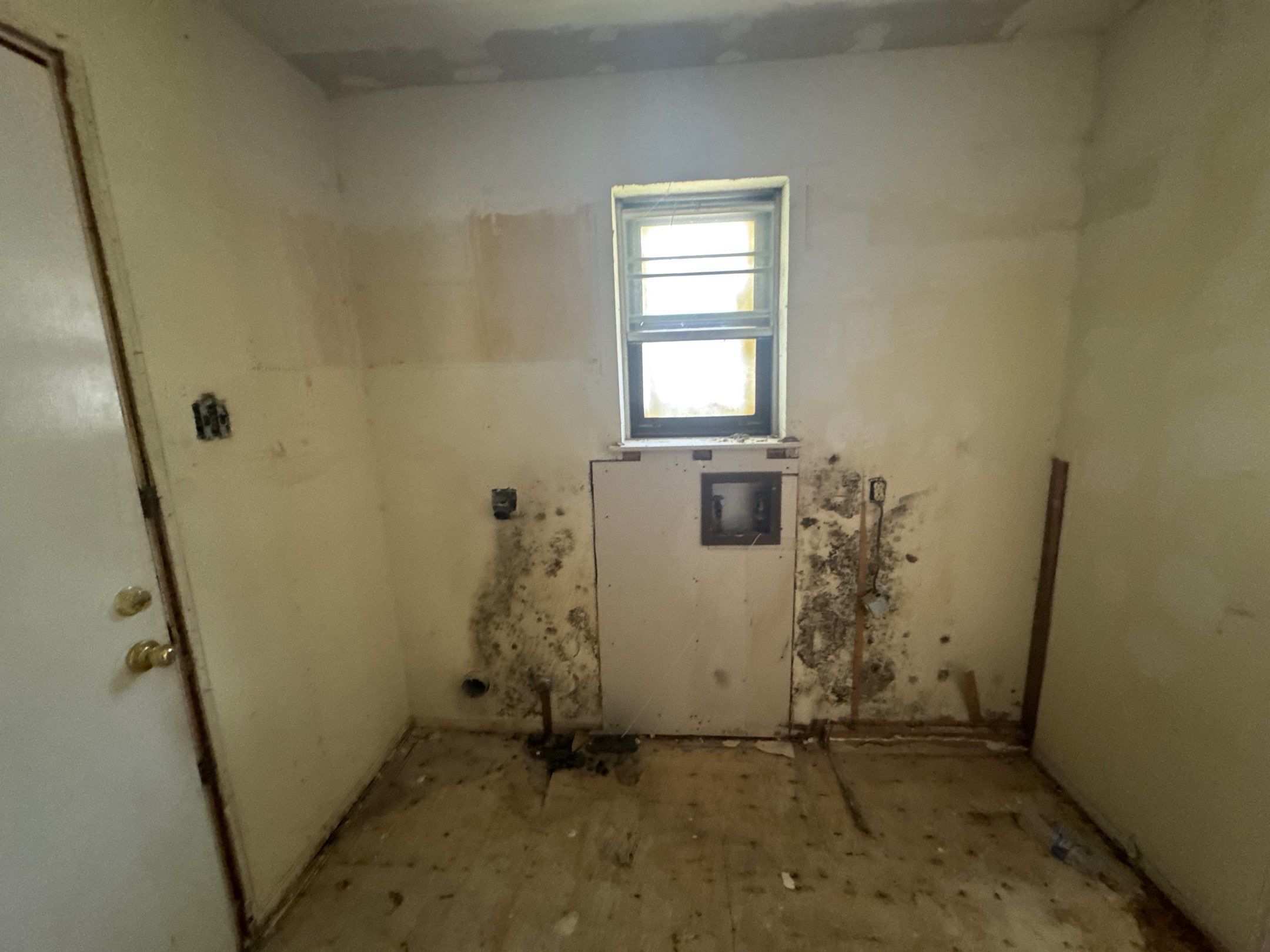 Layout-Loving Kitchen: Premium Cabinets Delivered in 7 Days Flat by Tibi Soli LLC