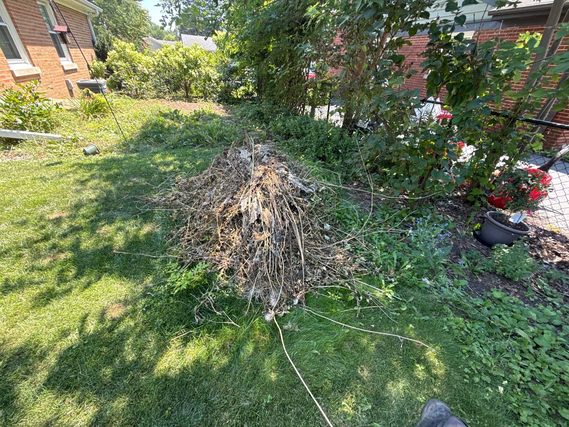 Helen N. - Arlington Heights, IL by A&N 