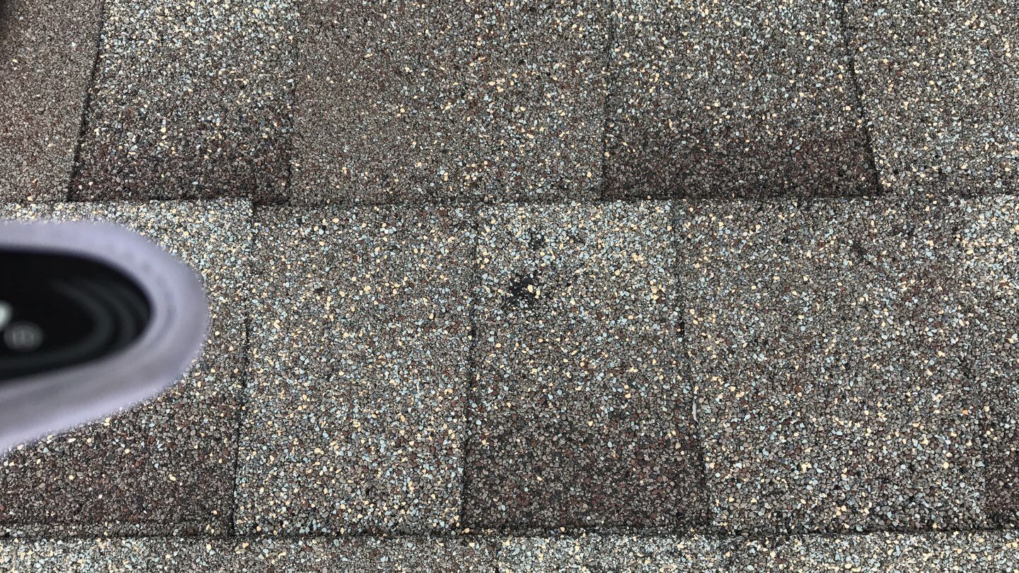 Storm Damage Restoration using Atlas Pinnacle Shingles and Mastic Vinyl Siding  by MODERN EXTERIOR SYSTEMS