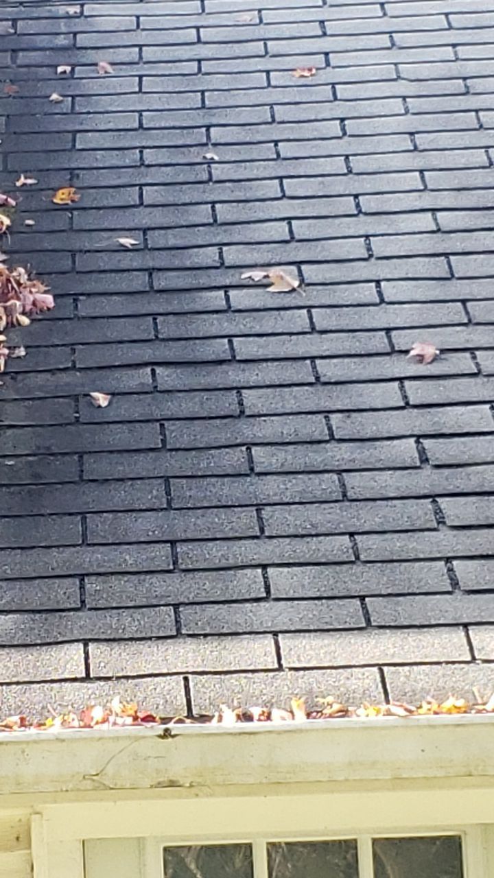 ATLAS PINNACLE SCOTCHGARD COLOR: PEWTER DRIP EDGE: BLACK by Eagle Eye Roofing