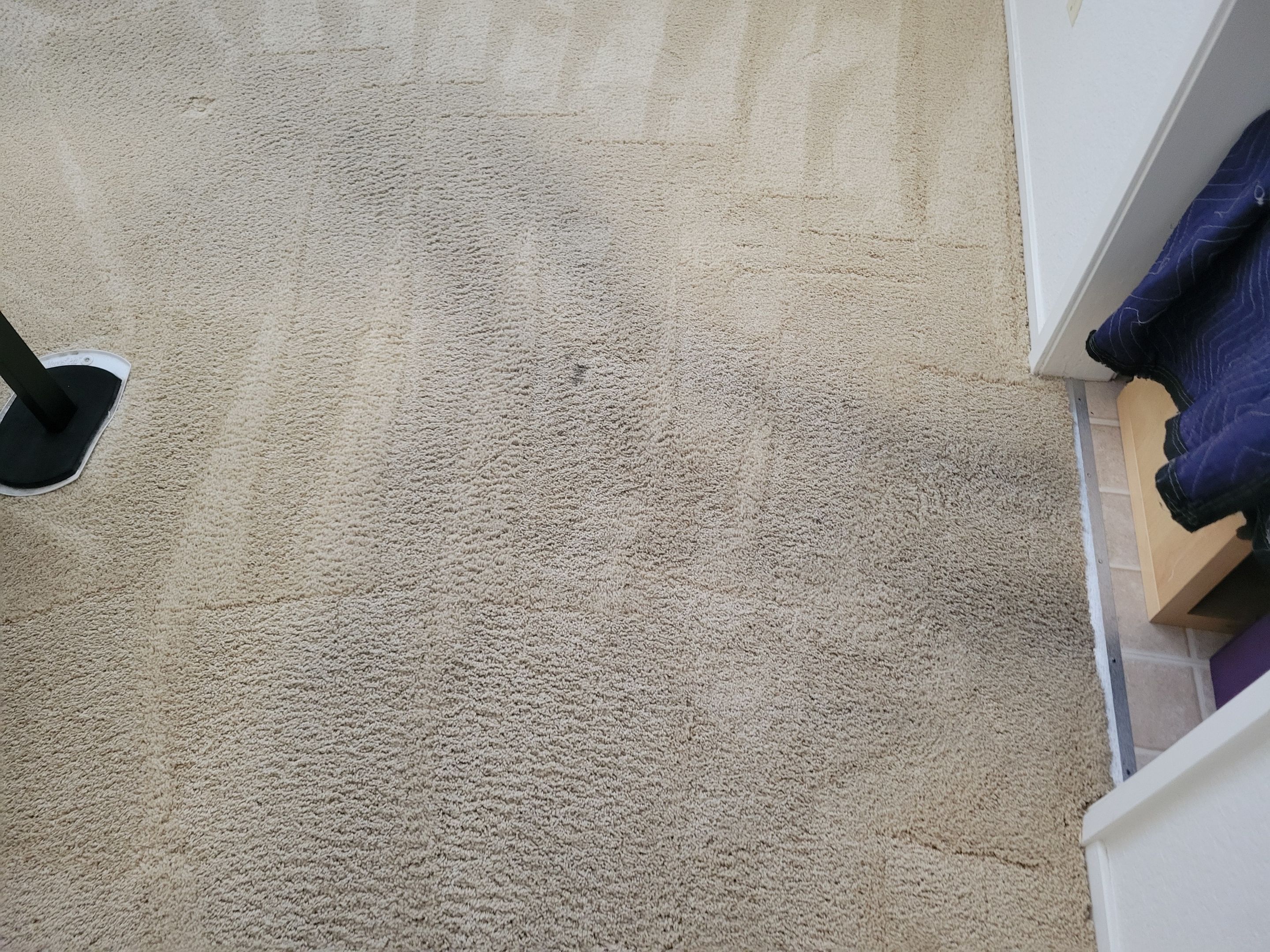 Carpet Re-stretching and Cleaning by Ardent Carpet Restore LLC