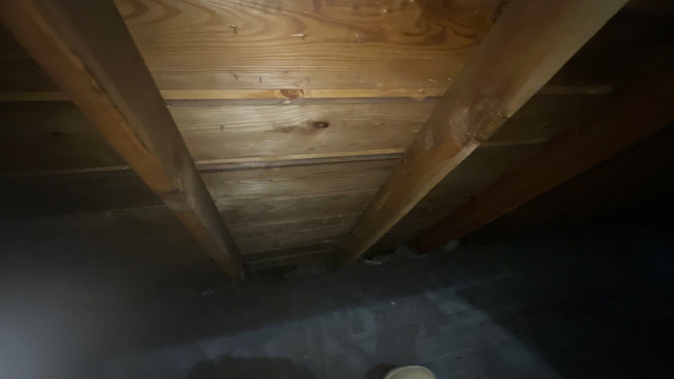 Roof Replacement using Owens Corning Summer Harvest by 180 Contractors