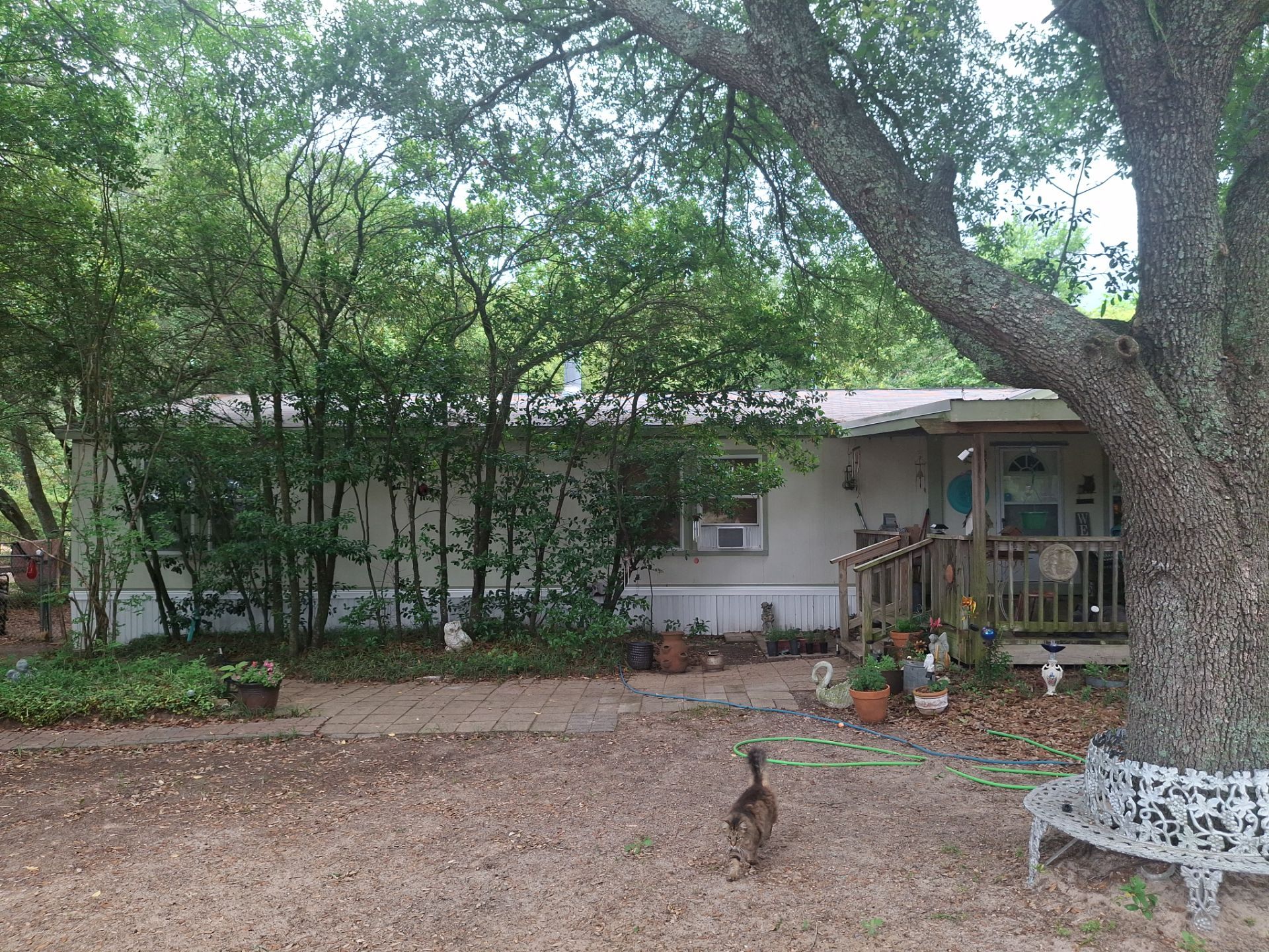 🌿 A Fresh Green Refresh in Lindale, TX! 🌿 by Quality Coats Painting