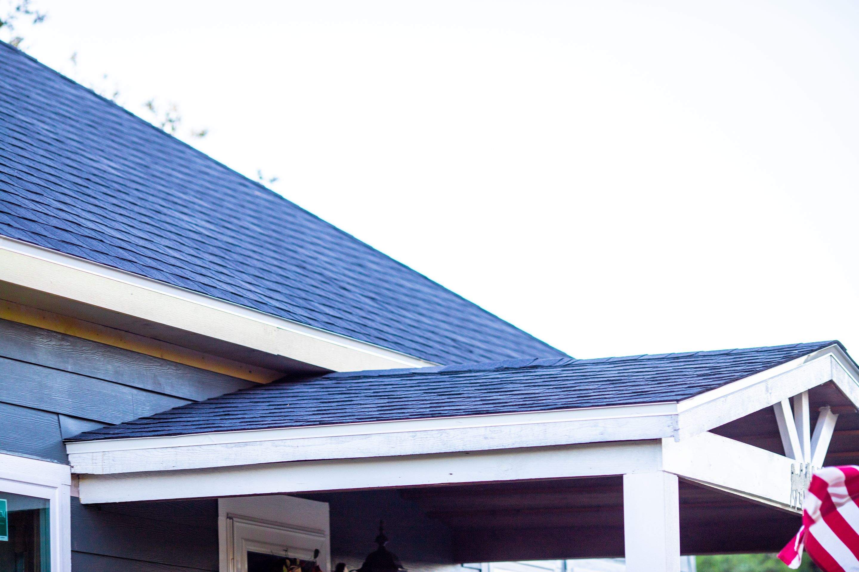 Love Birds Love It by Bayfront Roofing and Construction