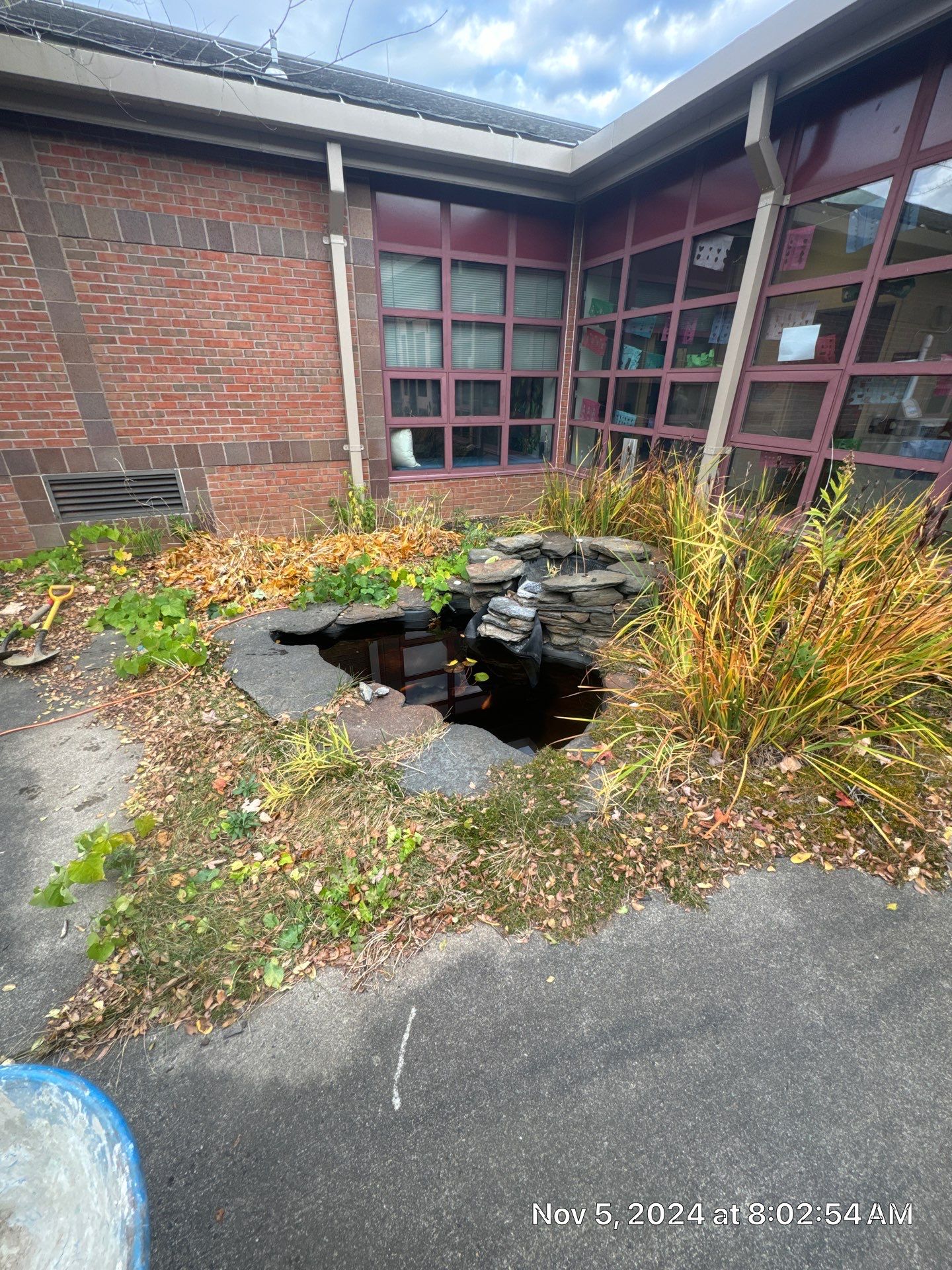 Deerfield Elementary School Koi Pond Build by Wicked Water Gardens