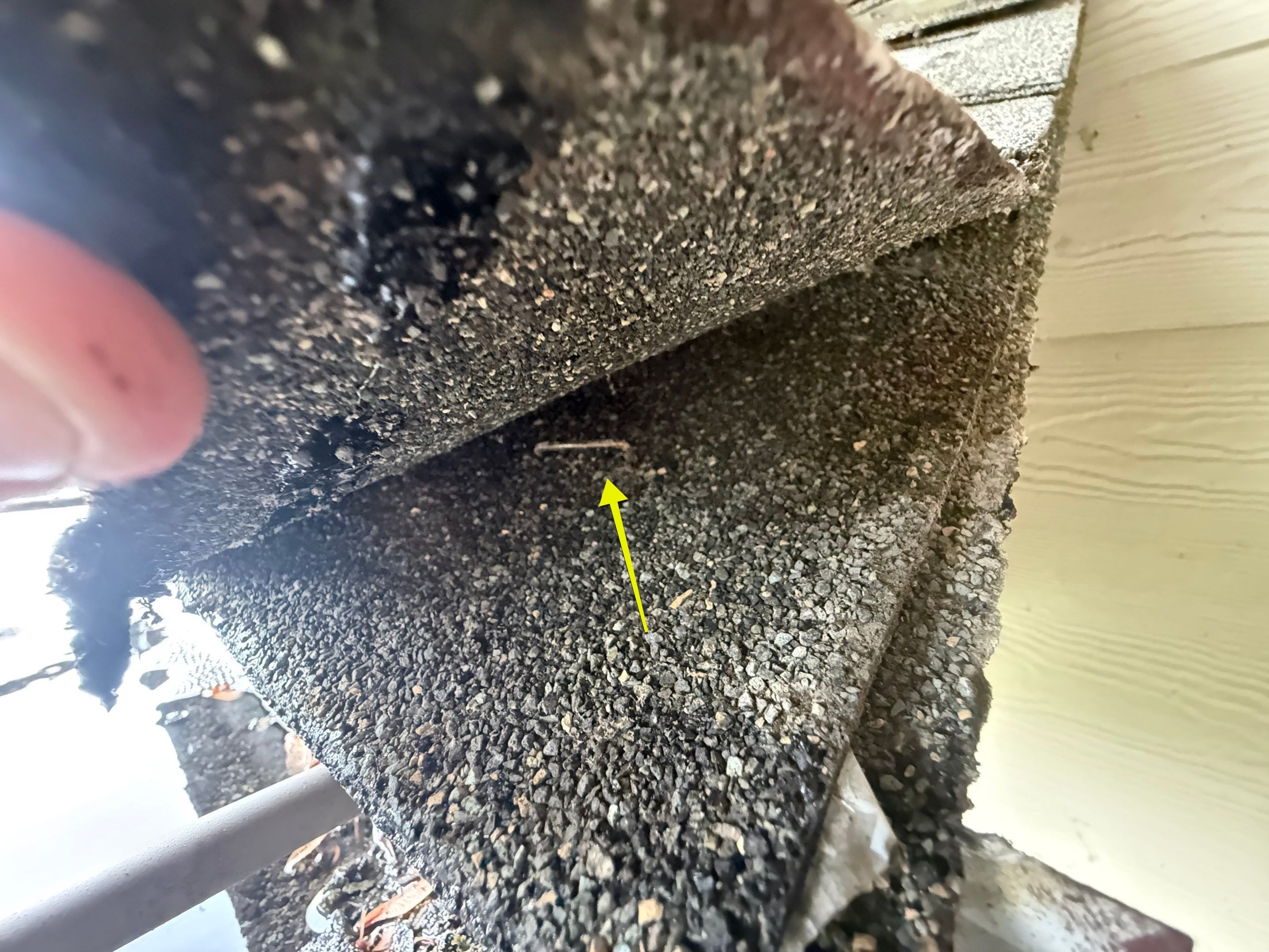 Roof Health Report • Eugene, OR by BEST Roofing & Waterproofing
