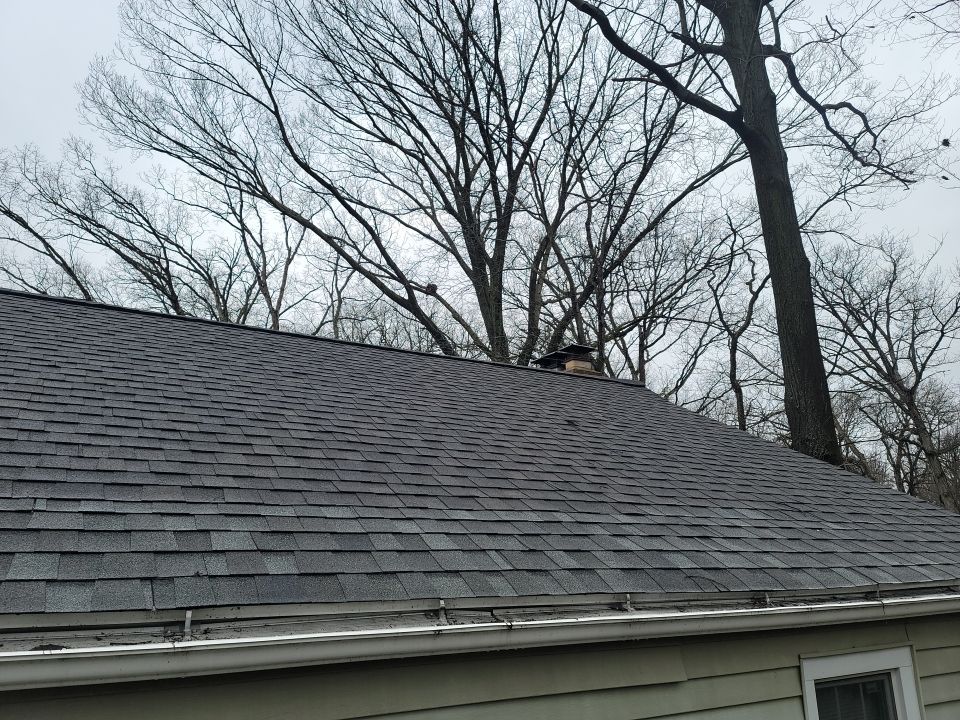 ATLAS PINNACLE COLOR: HEARTHSTONE DRIP EDGE: WHITE by Eagle Eye Roofing