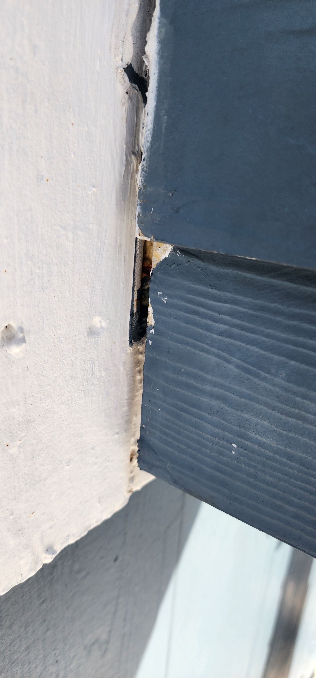 Project in Punta Gorda by Serene Construction