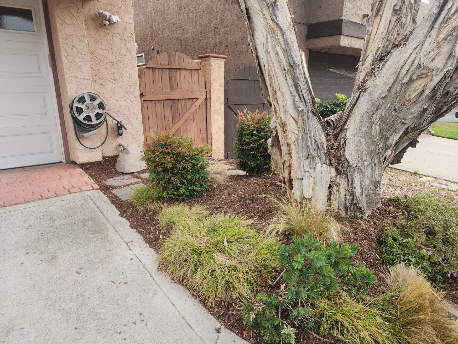 San Diego Residential Landscape Refresh With Succulents and Wood Mulch by Yard Techs
