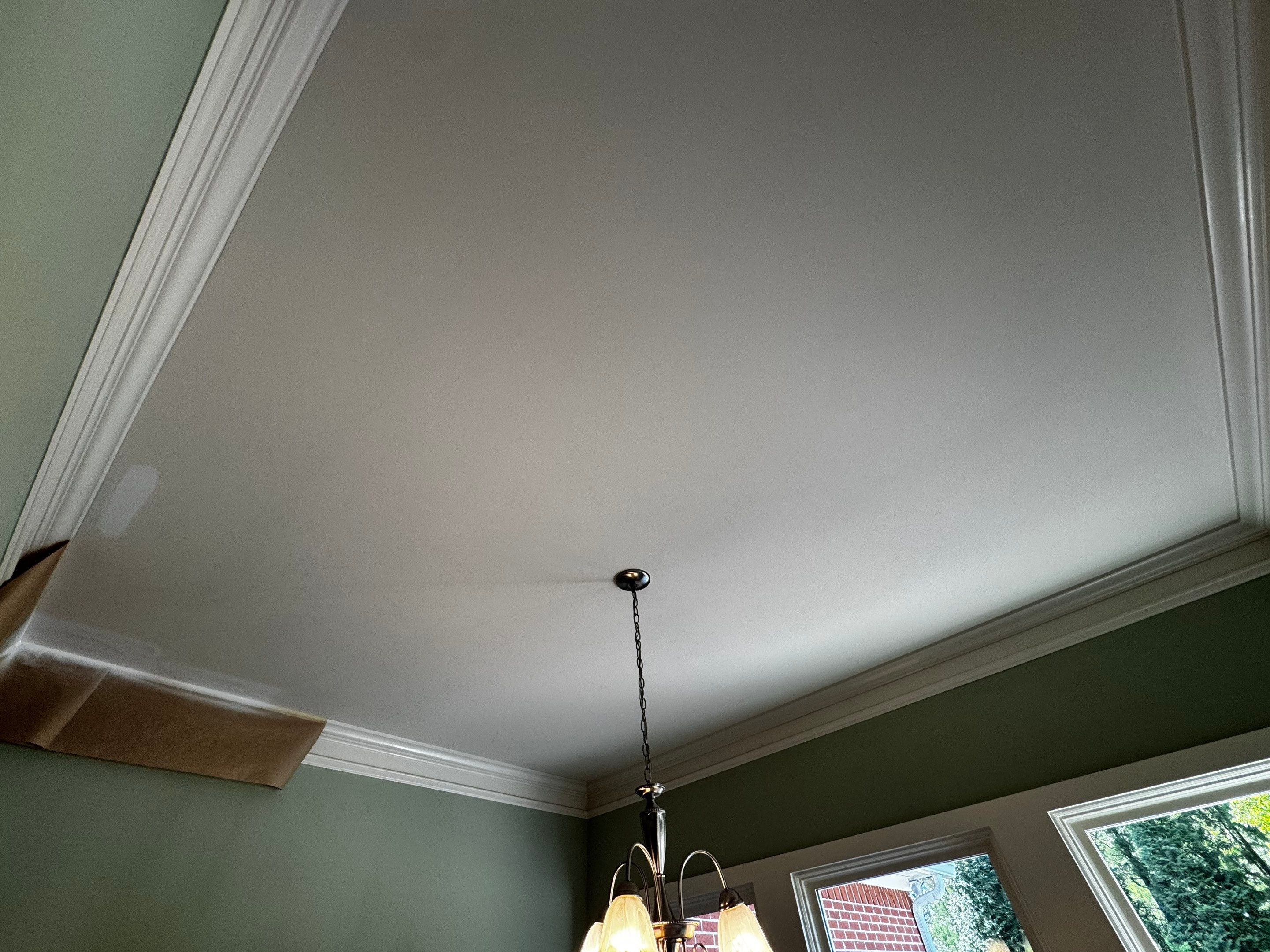 Interior Painting and Ceiling Repair by PGP Surface Solutions, LLC
