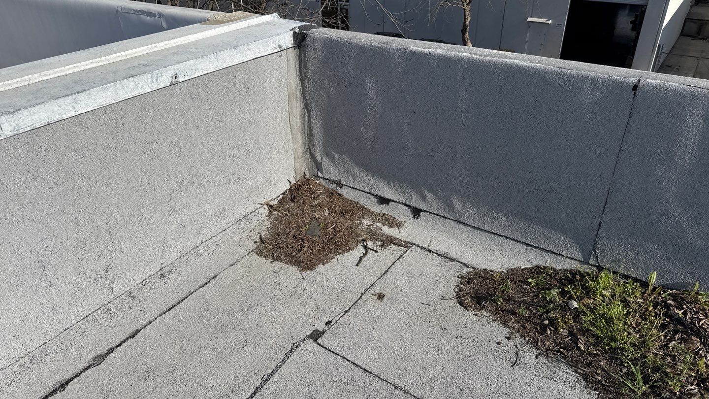 Project by NuLead Construction Inc by NuLead Construction Inc