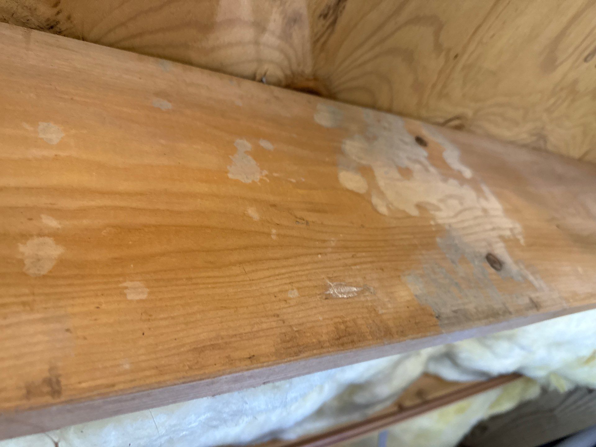 Project in Portsmouth by Patriot Crawl Space Repairs