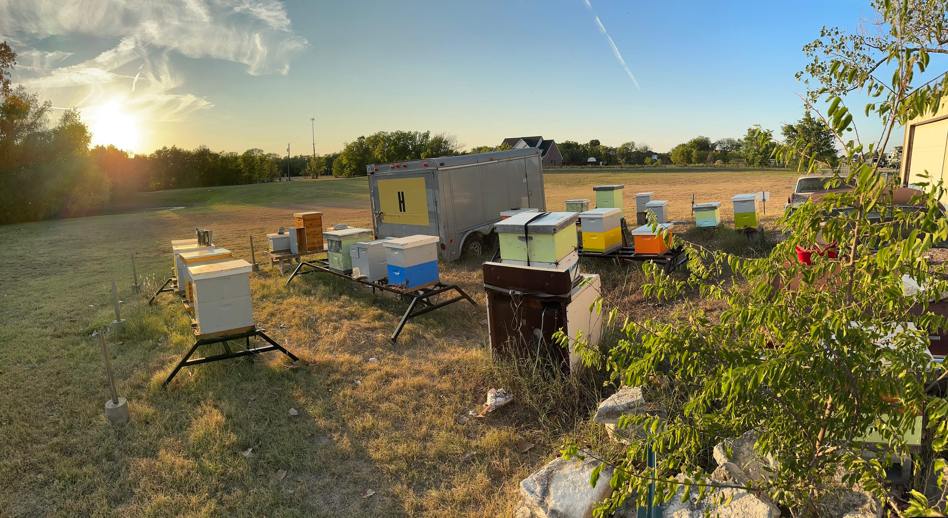 Rockwall Honey Bee Company HQ by Rockwall Honey Bee Company