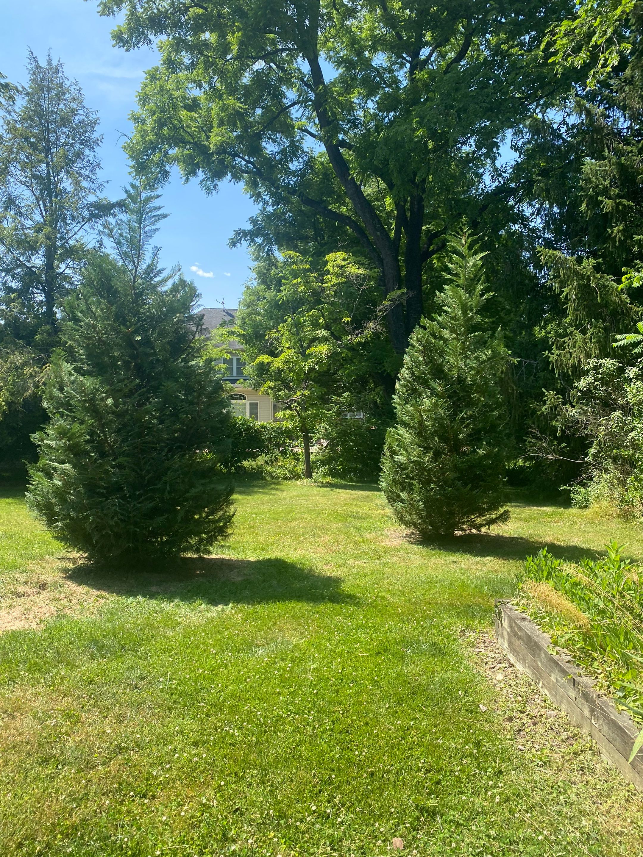 Landscape cleanup & drainage by The Smet Companies, LLC