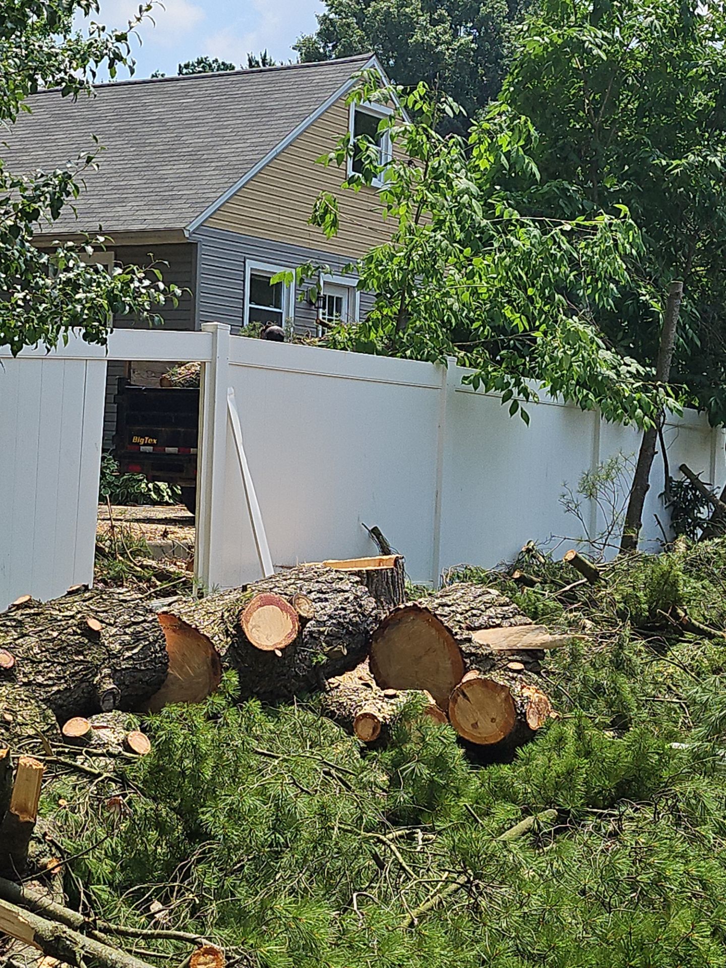Tree Removal using Tree Removal by Mike Jones & Sons Tree Service LLC 